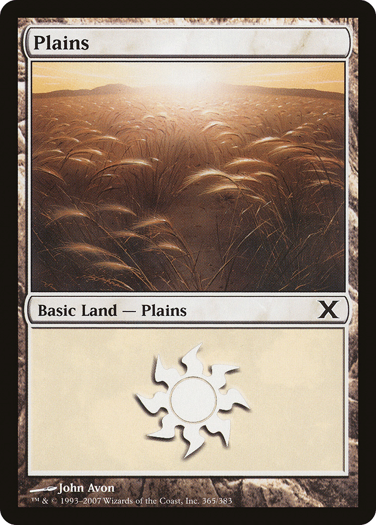 Plains — Tenth Edition — Magic: The Gathering