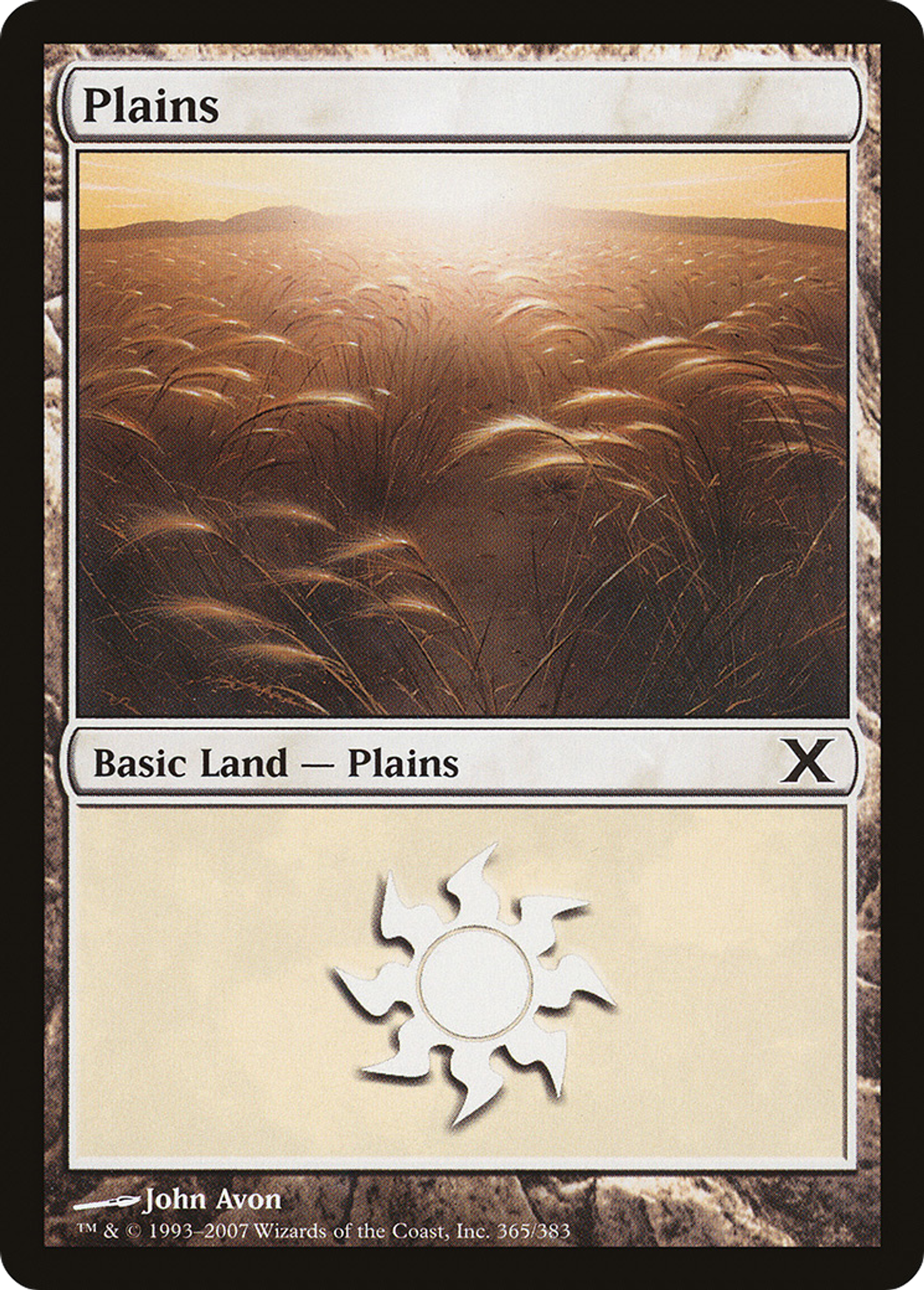Plains — Tenth Edition — Magic: The Gathering