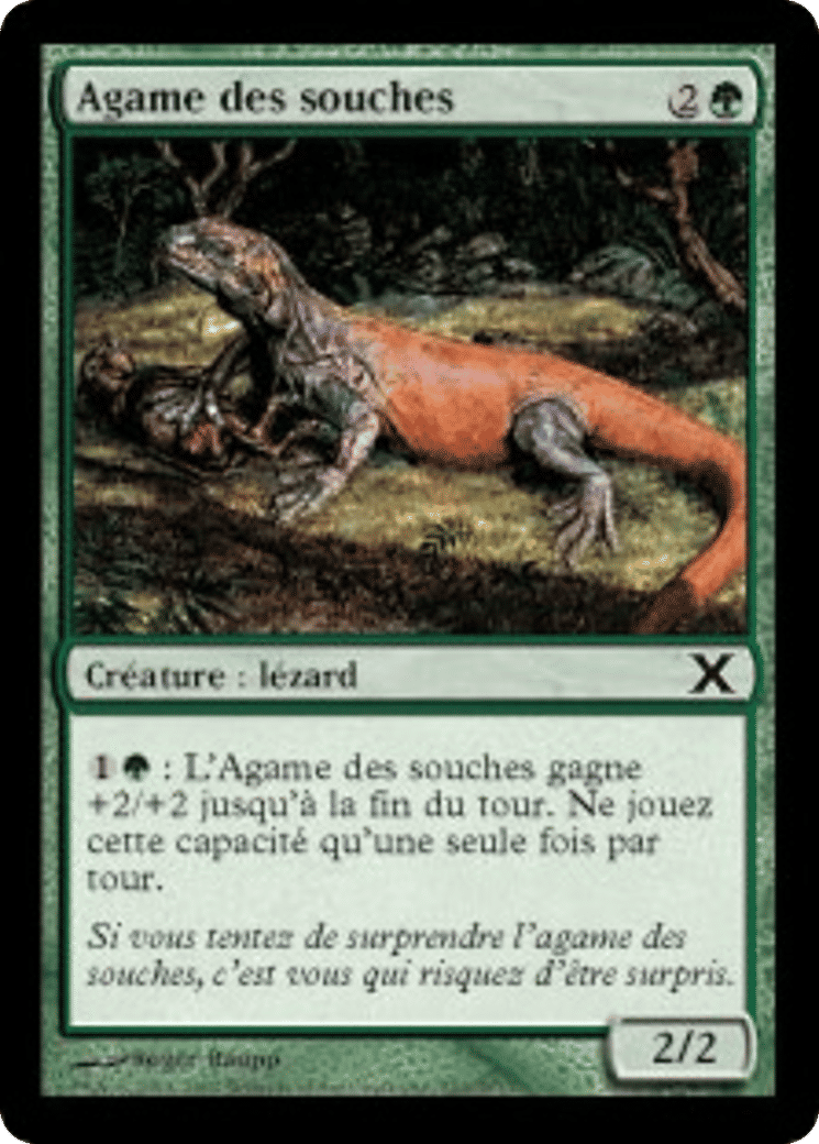 Agame des souches — Tenth Edition — Magic: The Gathering