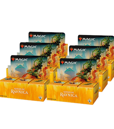 Product image for Guilds of Ravnica Booster Box Case