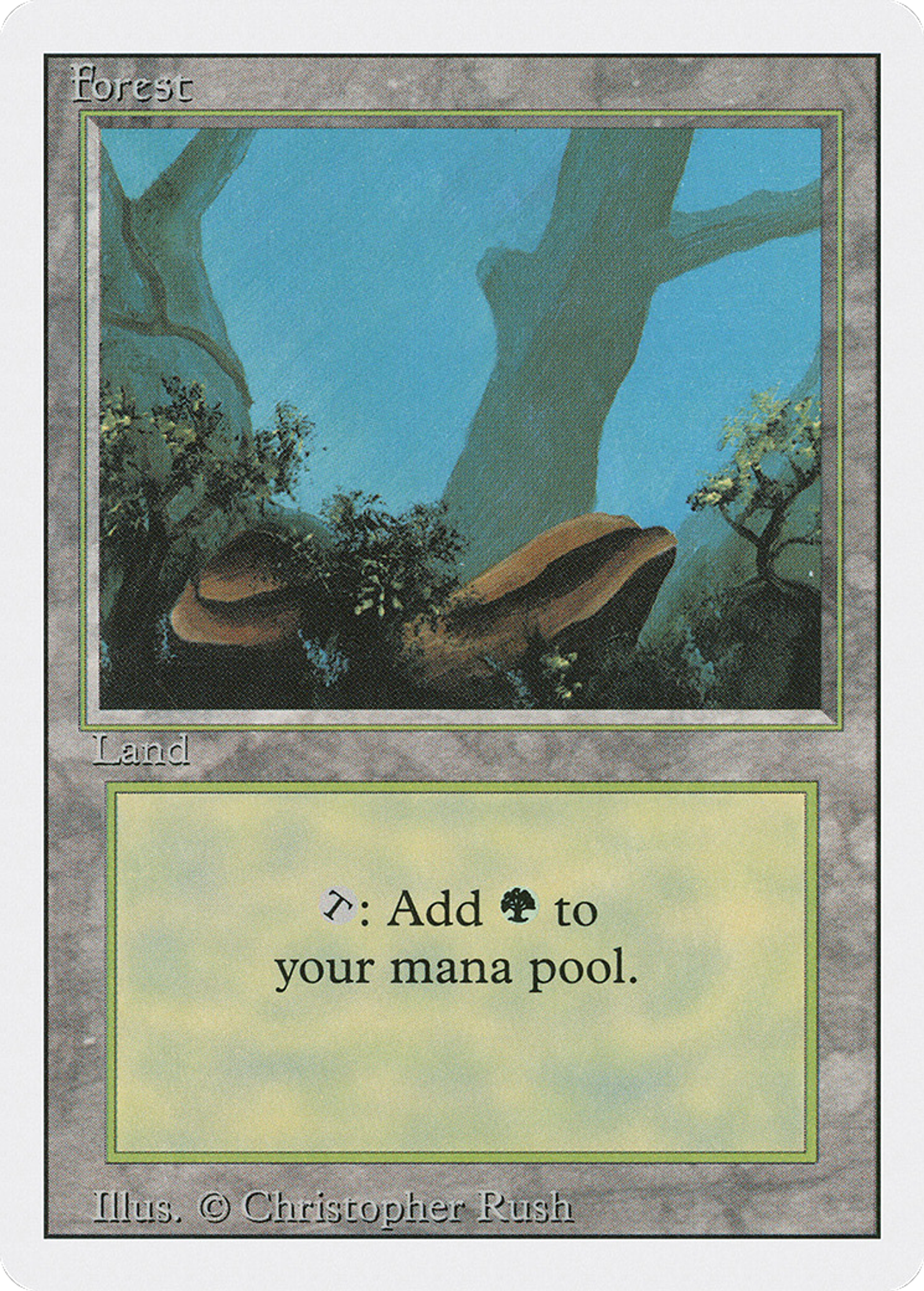 Forest — Revised Edition — Magic: The Gathering