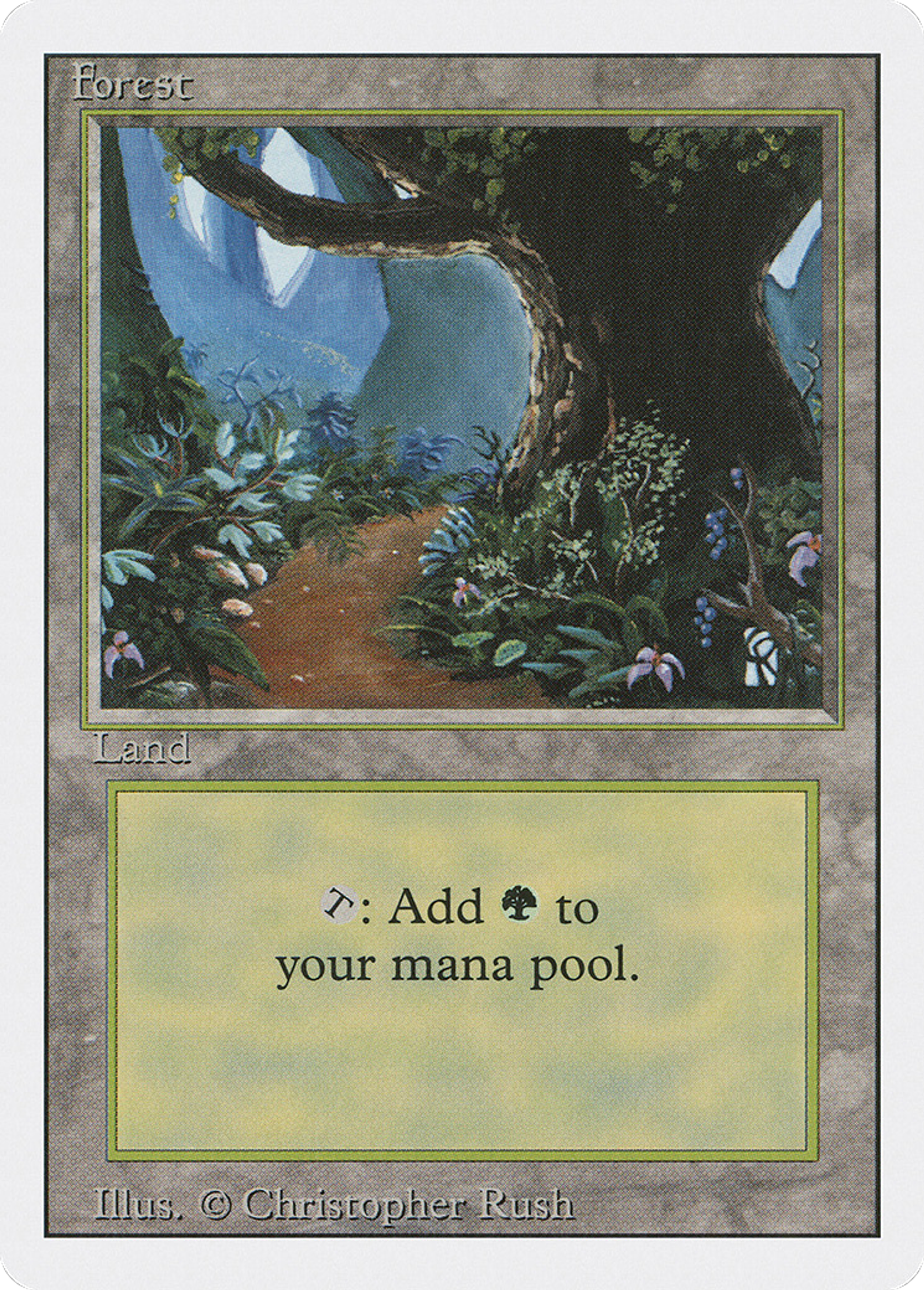 Forest — Revised Edition — Magic: The Gathering