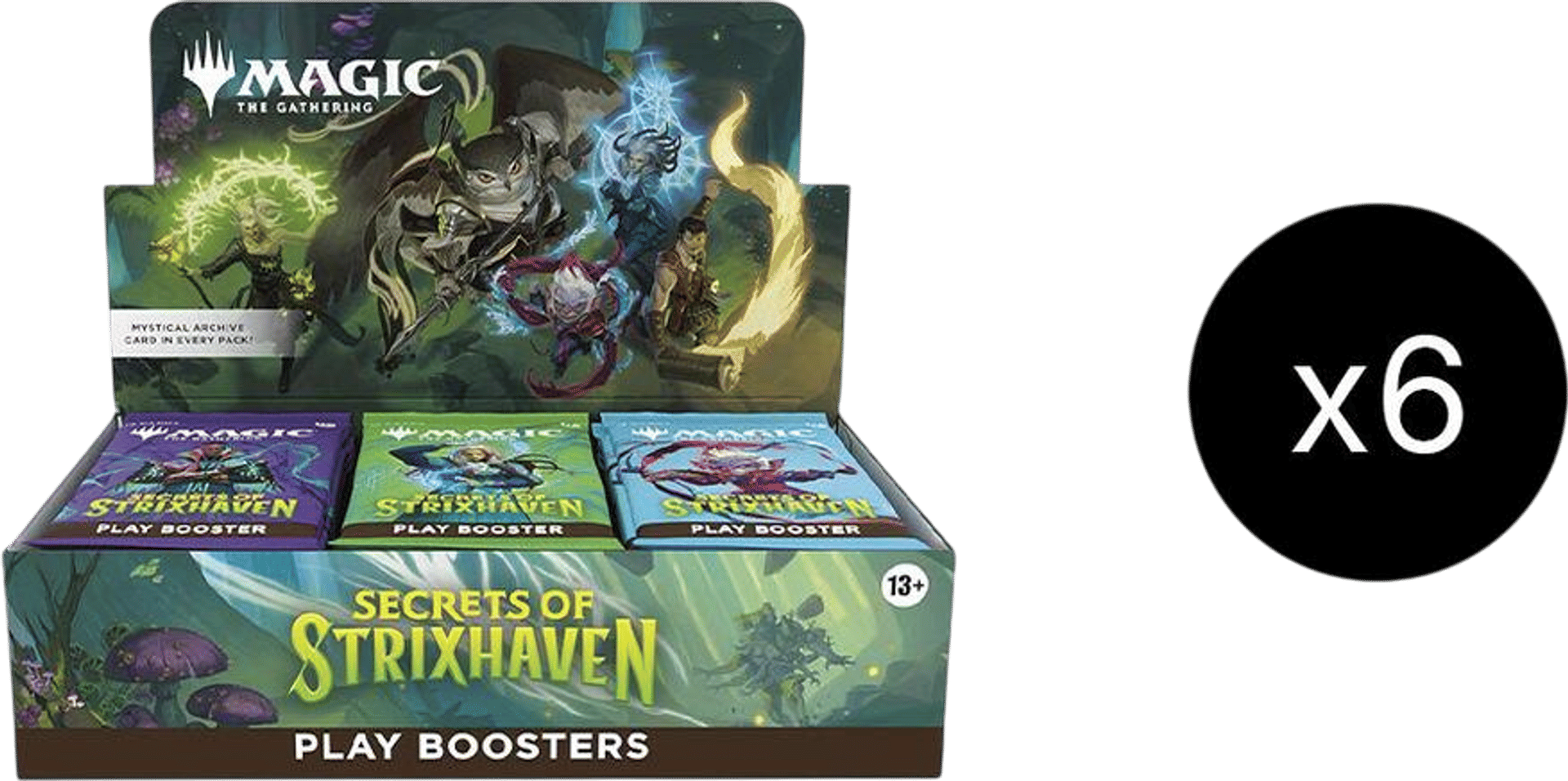 Product image for Secret of Strixhaven Booster case