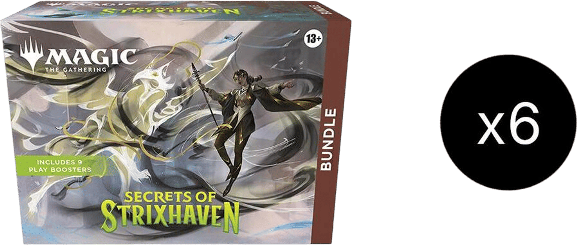 Product image for Secret of Strixhaven Bundle Case