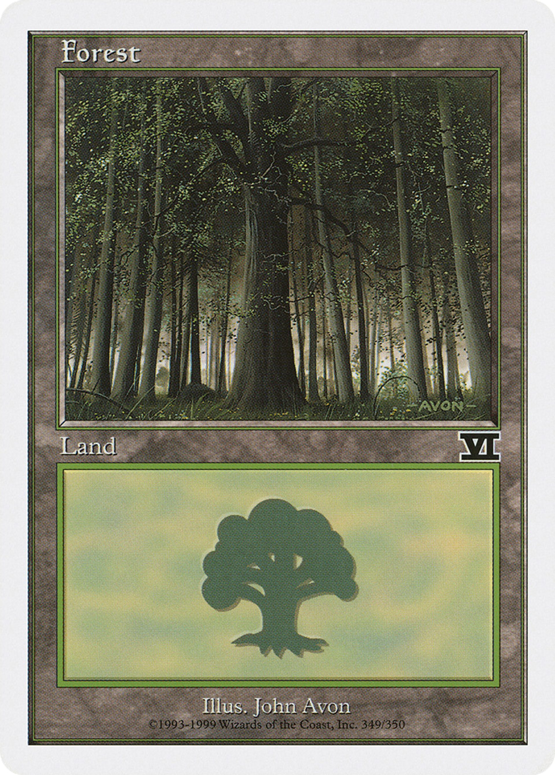 Forest — Classic Sixth Edition — Magic: The Gathering
