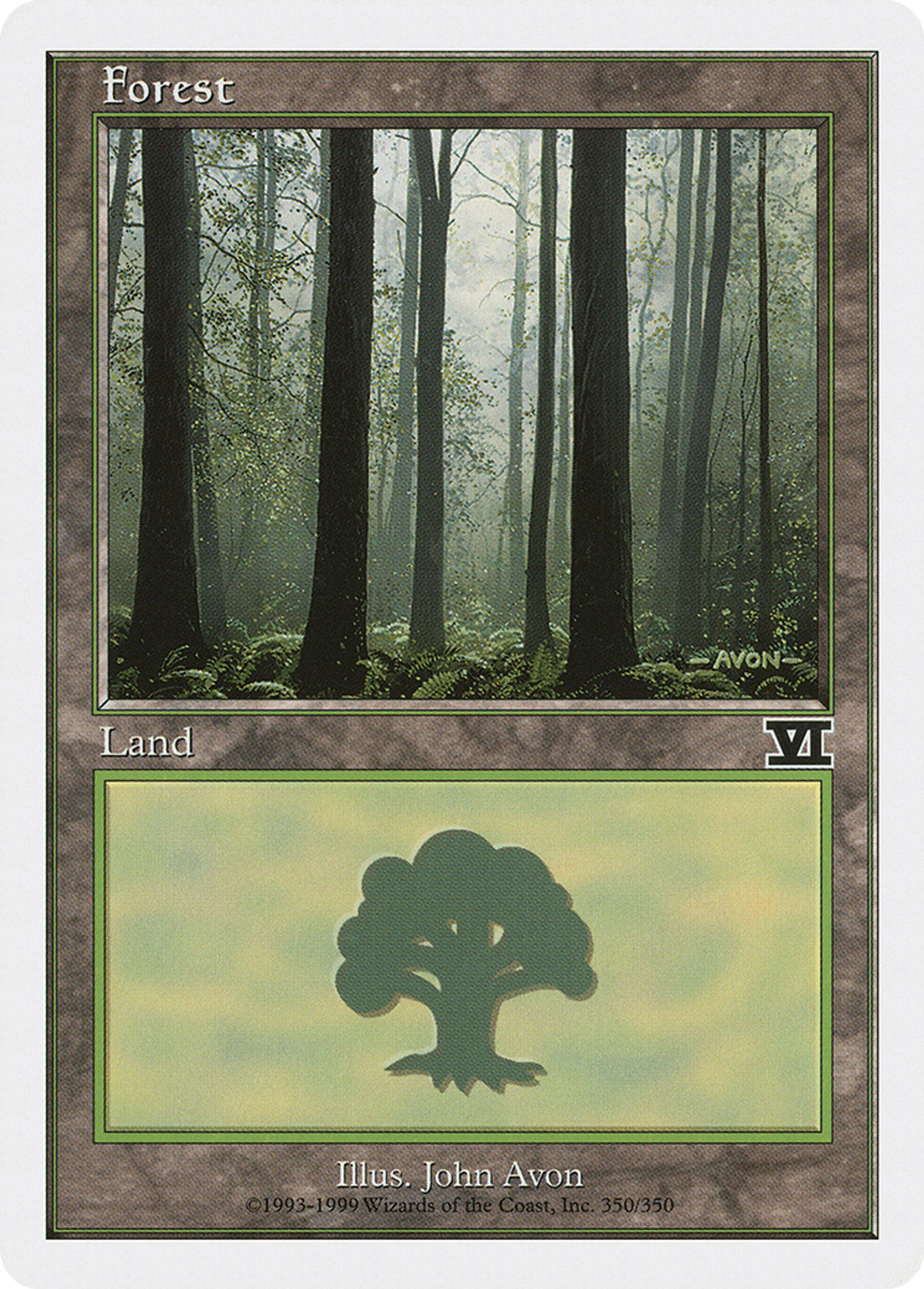 Forest — Classic Sixth Edition — Magic: The Gathering