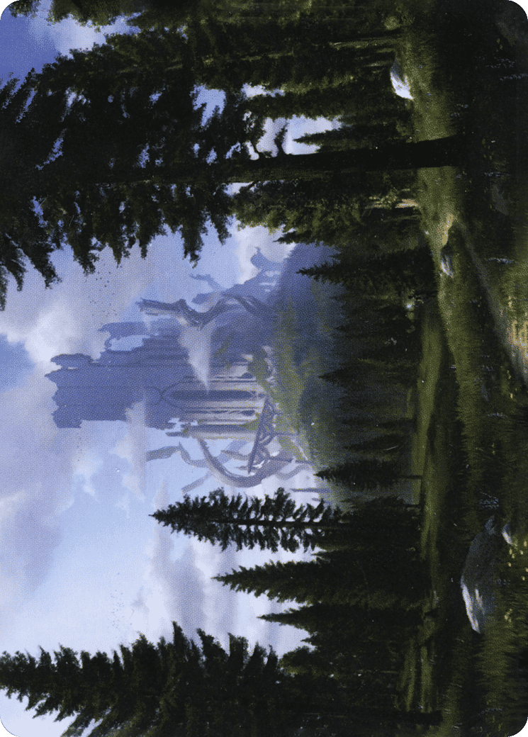 Forest — Adventures in the Forgotten Realms Art Series — Magic: The Gathering