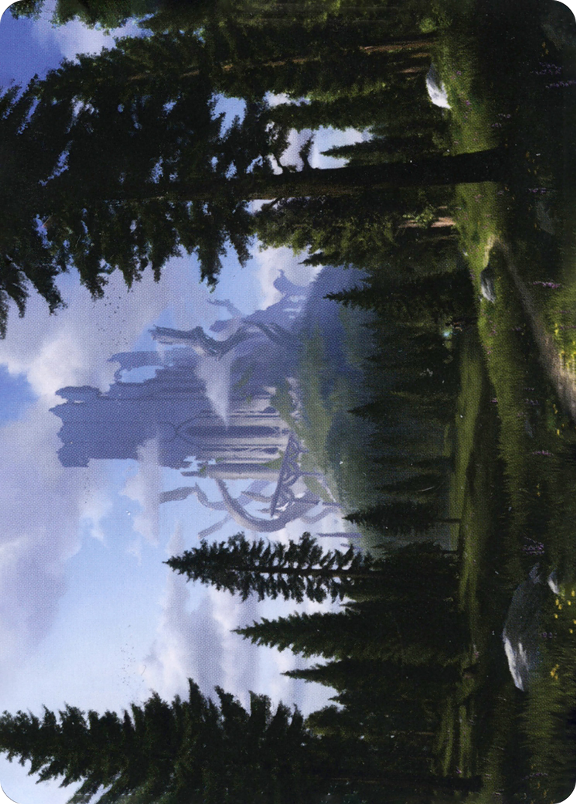 Forest — Adventures in the Forgotten Realms Art Series — Magic: The Gathering