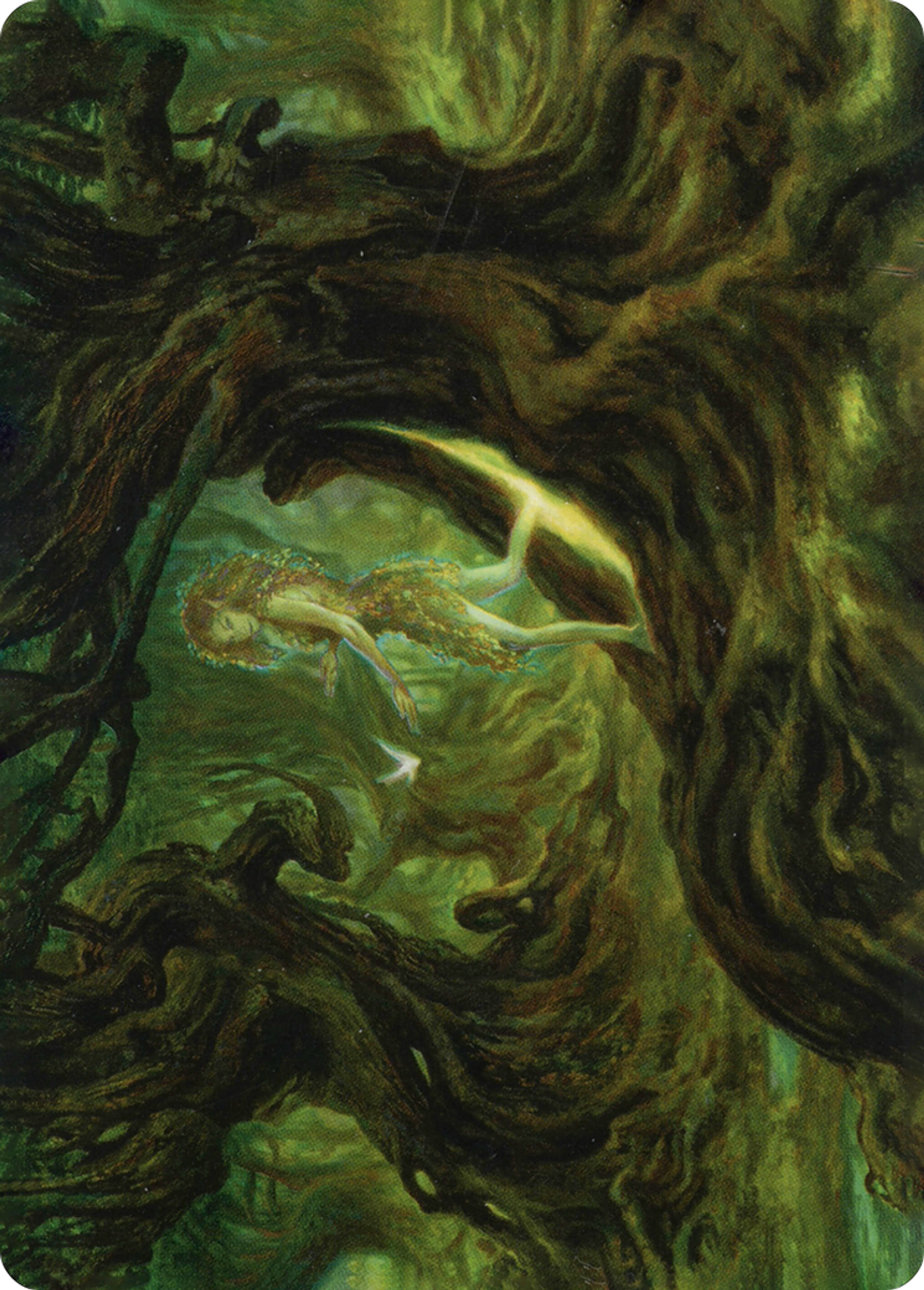 Neverwinter Dryad — Adventures in the Forgotten Realms Art Series — Magic: The Gathering