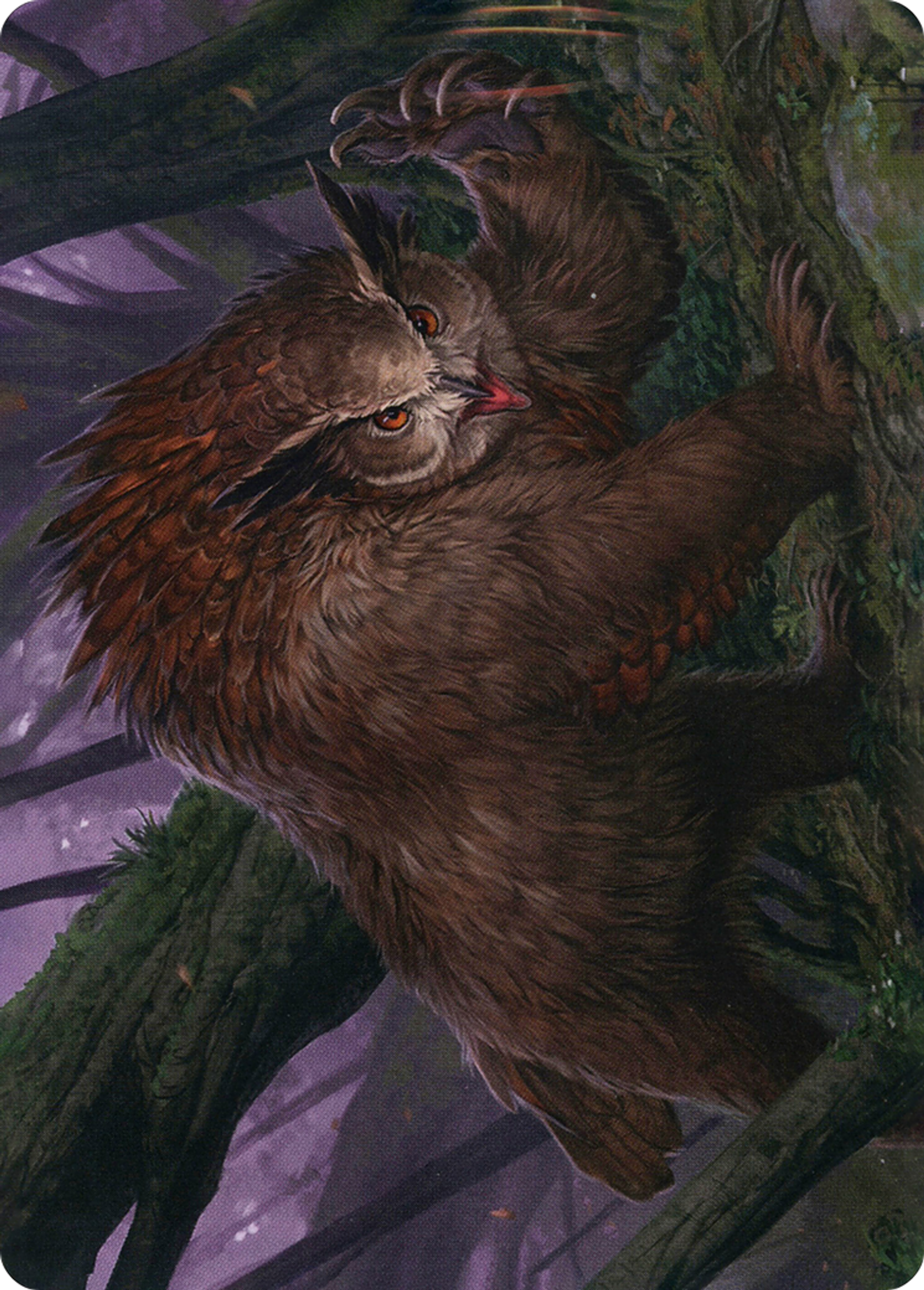 Owlbear — Adventures in the Forgotten Realms Art Series — Magic: The Gathering