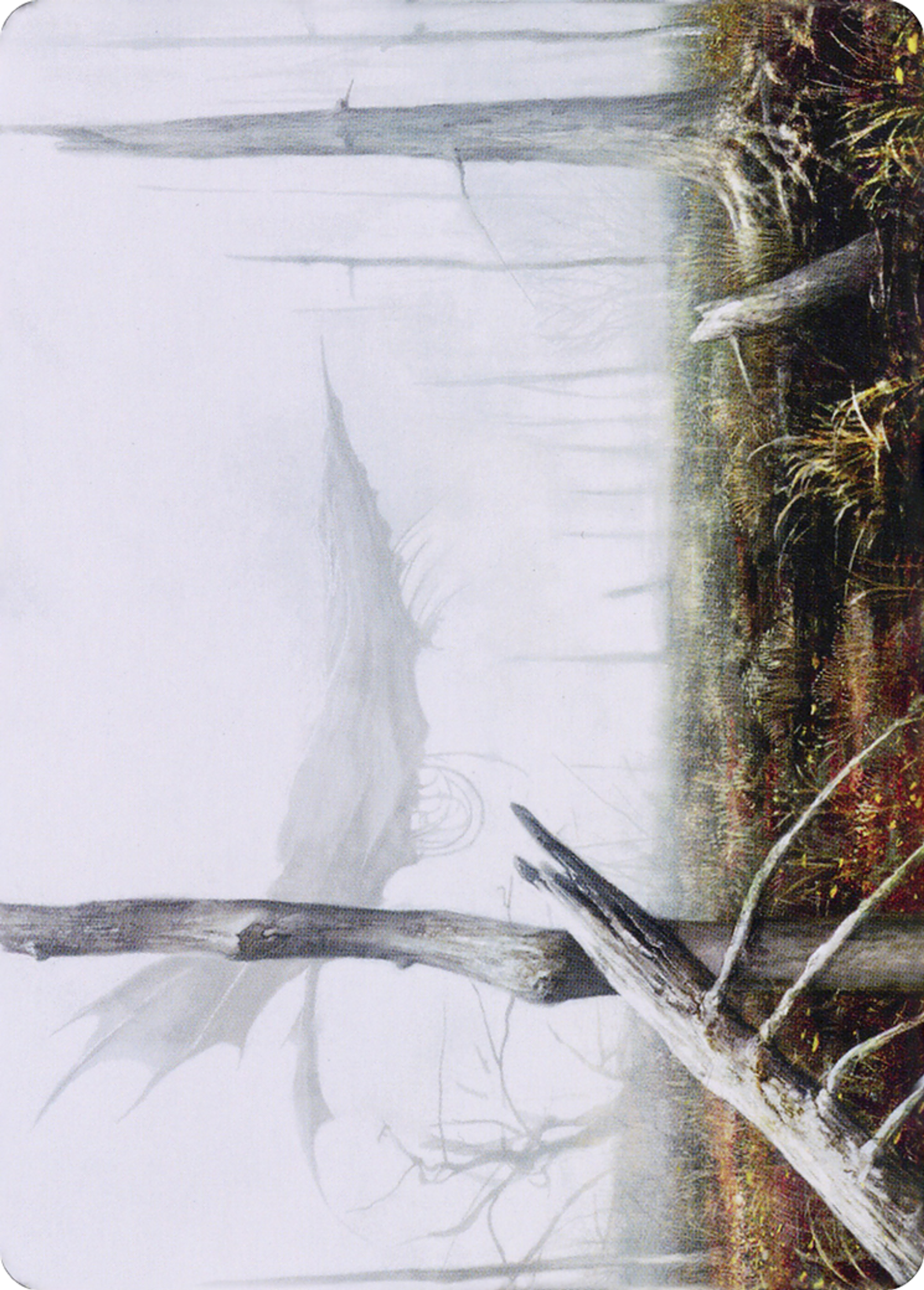 Swamp — Dominaria United Art Series — Magic: The Gathering