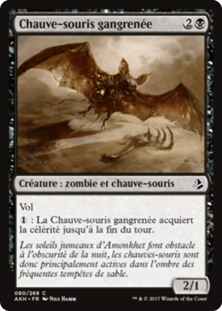 Chauve-souris gangrenée — Amonkhet — Magic: The Gathering