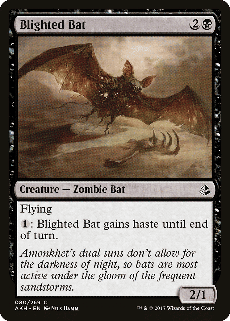 Blighted Bat — Amonkhet — Magic: The Gathering