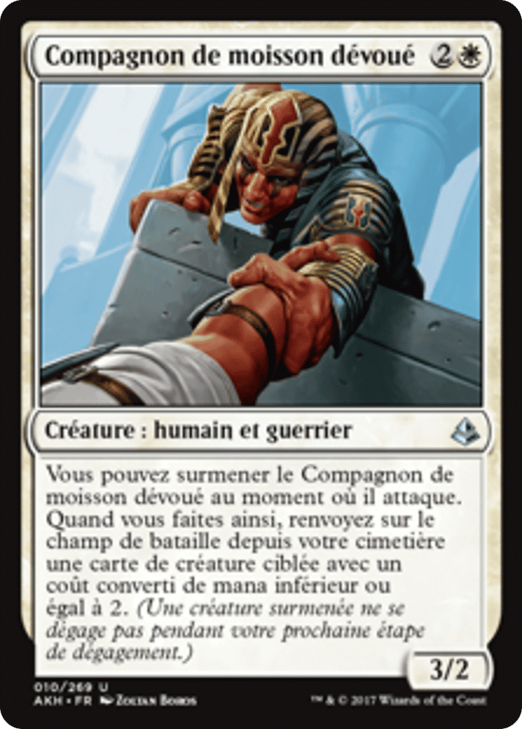 Compagnon de moisson dévoué — Amonkhet — Magic: The Gathering