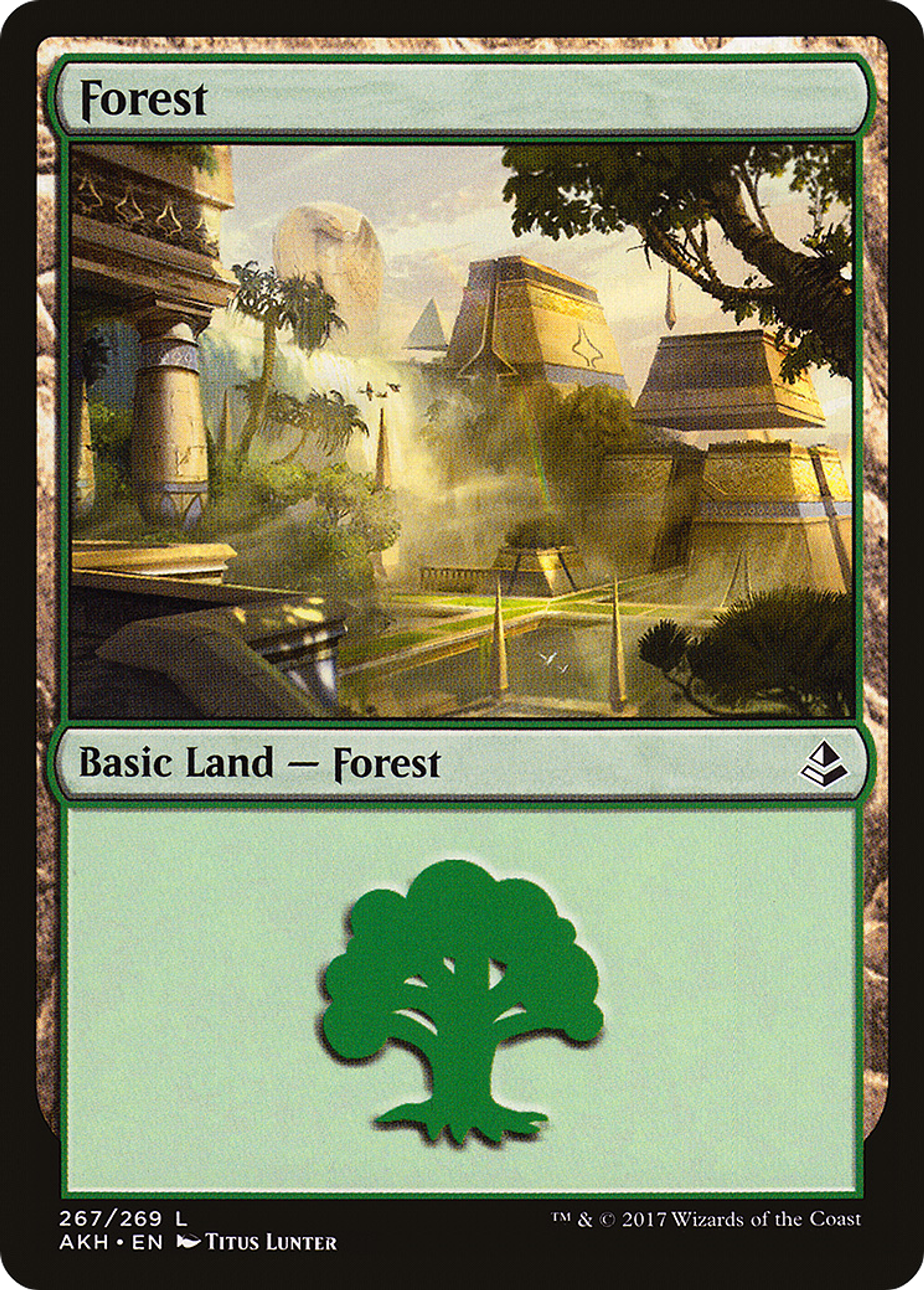 Forest — Amonkhet — Magic: The Gathering