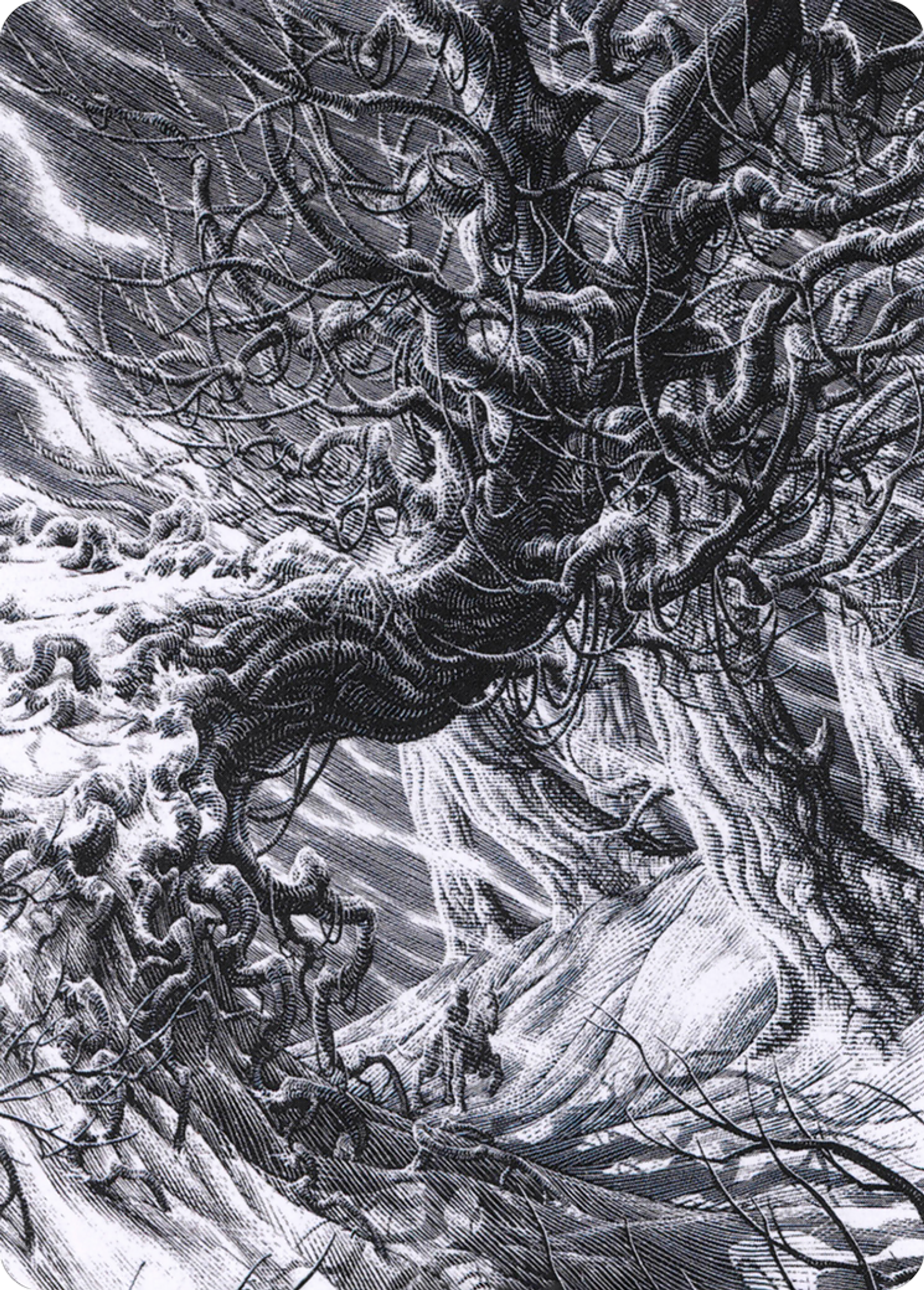 Forest — Crimson Vow Art Series — Magic: The Gathering