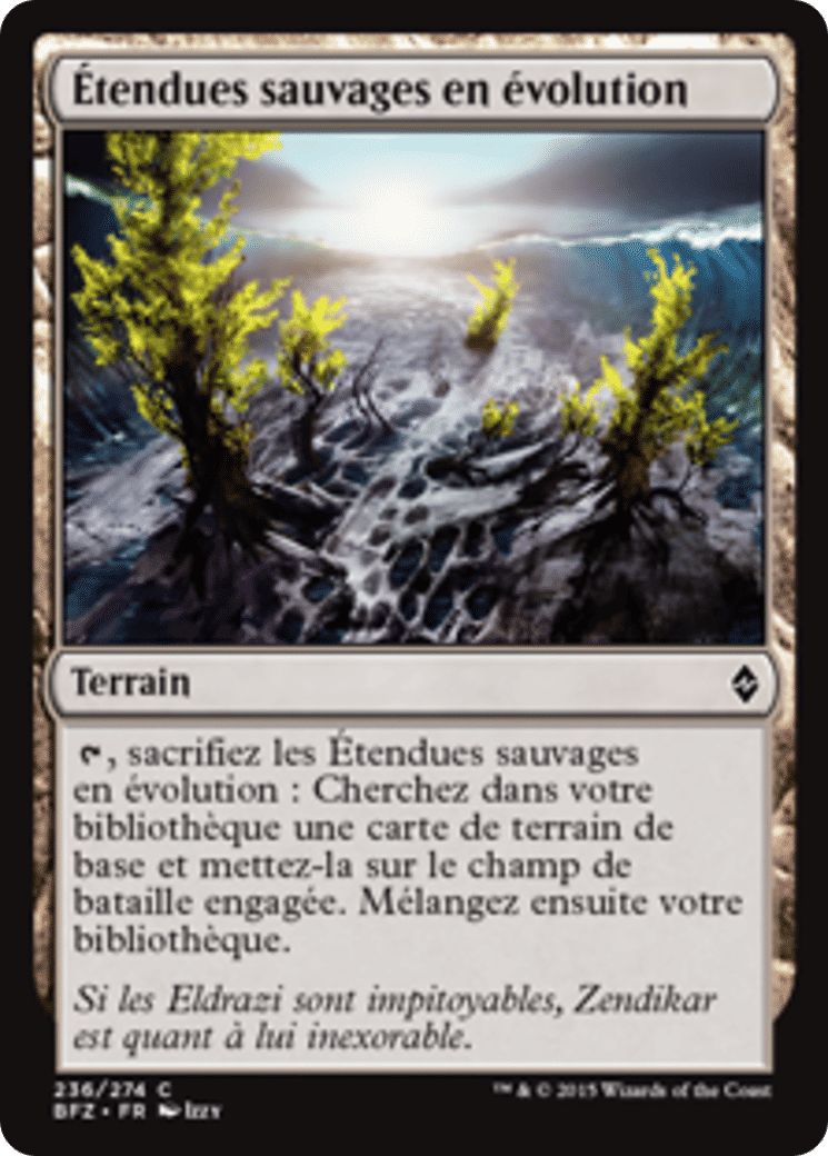 Étendues sauvages en évolution — Battle for Zendikar — Magic: The Gathering