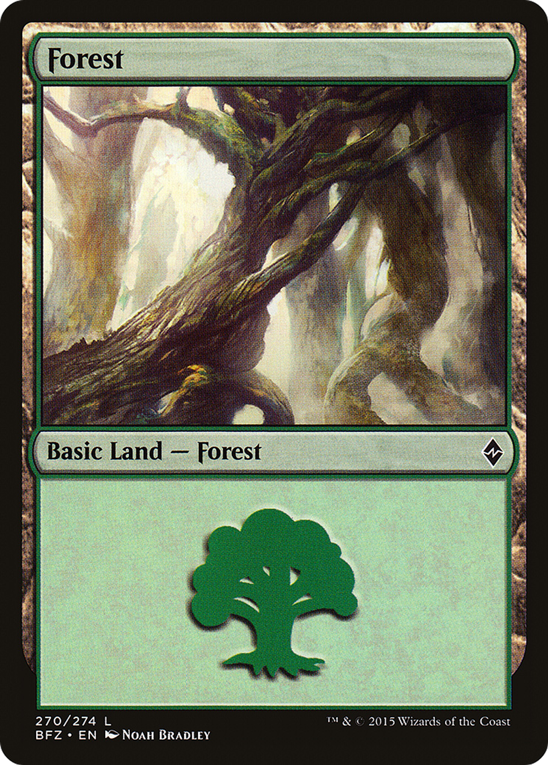 Forest — Battle for Zendikar — Magic: The Gathering