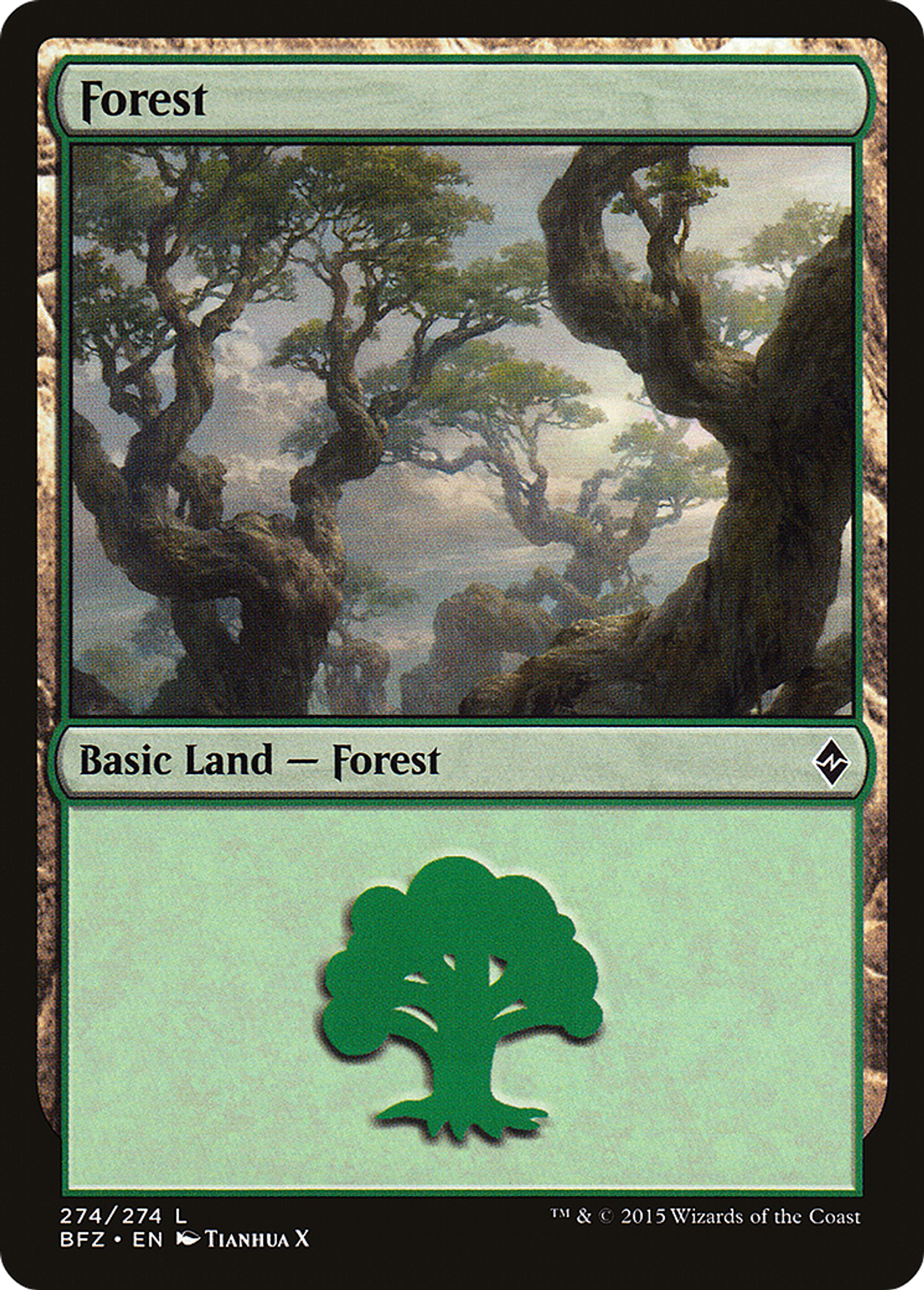 Forest — Battle for Zendikar — Magic: The Gathering