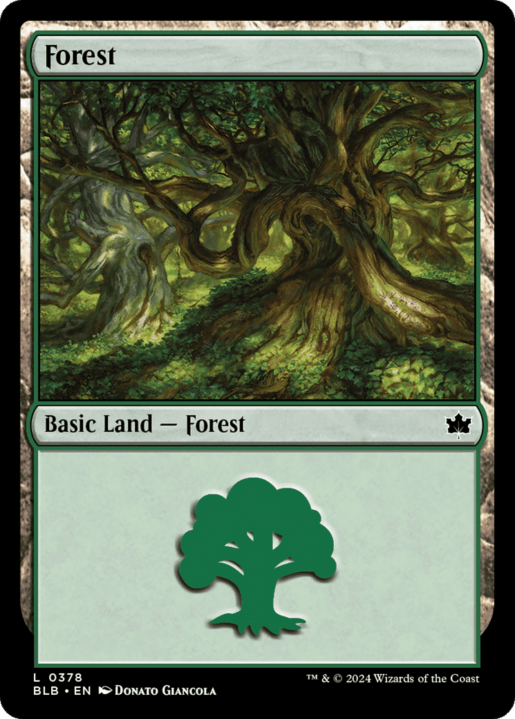 Forest — Bloomburrow — Magic: The Gathering