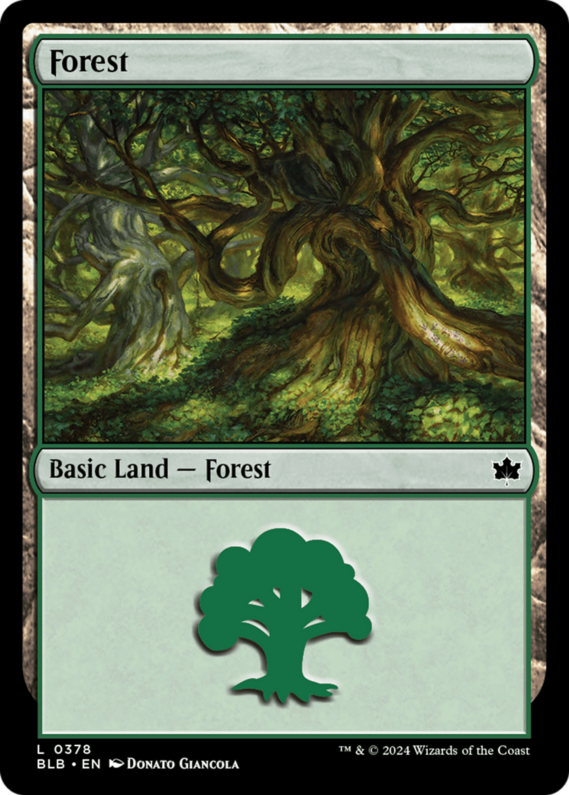 Forest — Bloomburrow — Magic: The Gathering