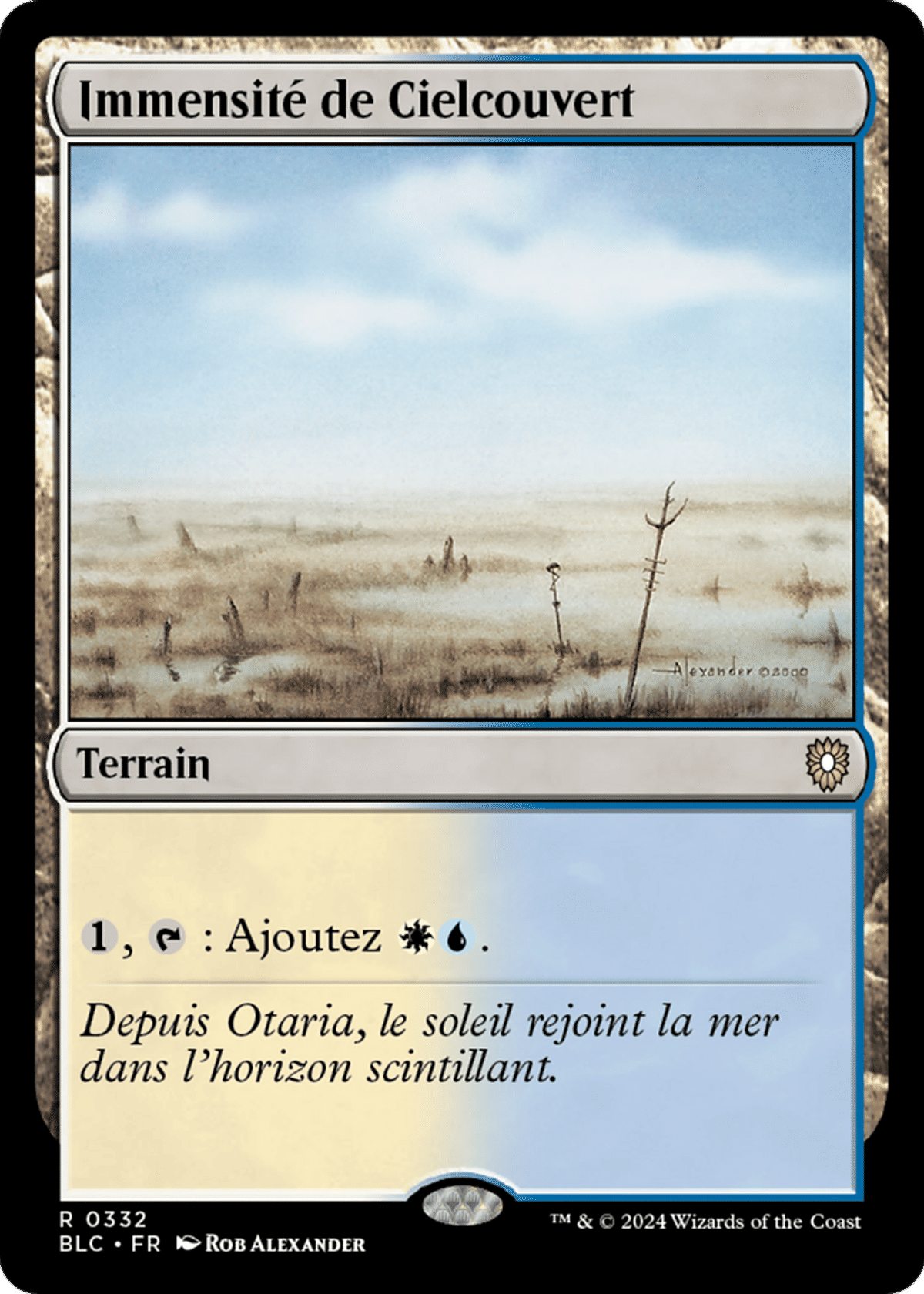 Immensité de Cielcouvert from Bloomburrow Commander - Magic: The Gathering
