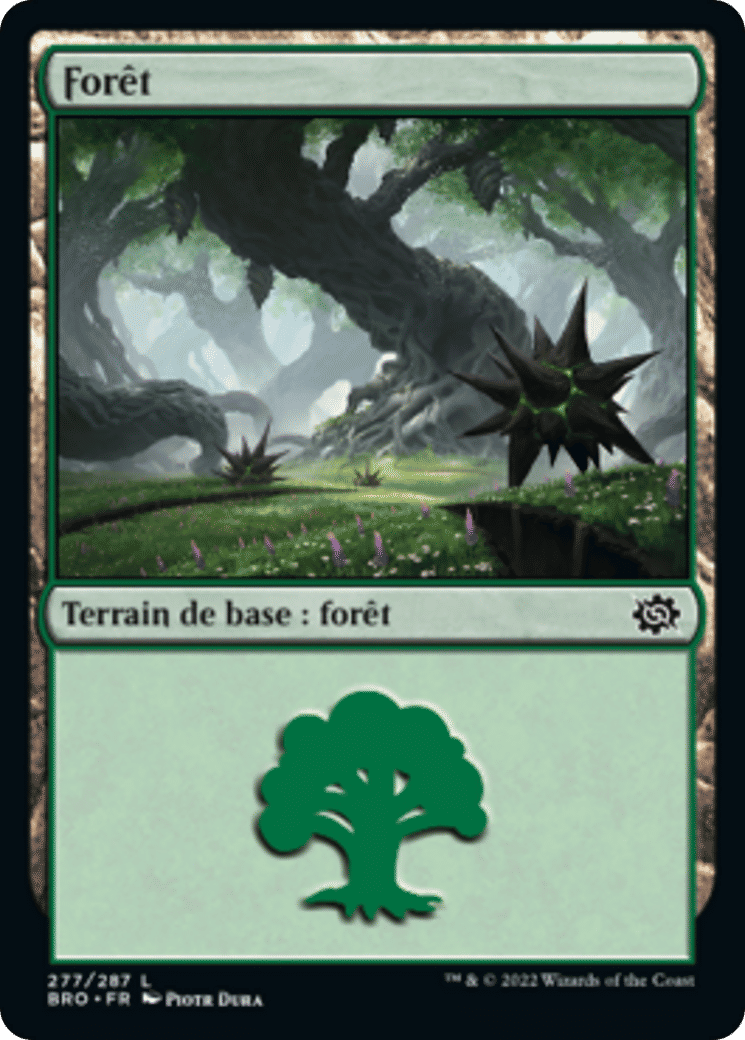 Forêt — The Brothers' War — Magic: The Gathering