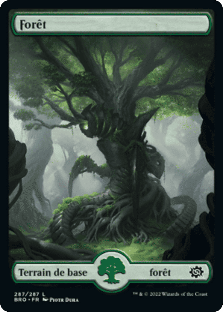 Forêt — The Brothers' War — Magic: The Gathering