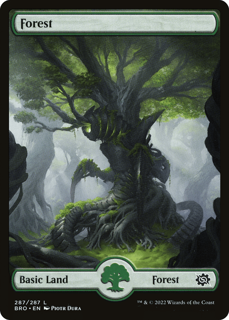 Forest — The Brothers' War — Magic: The Gathering