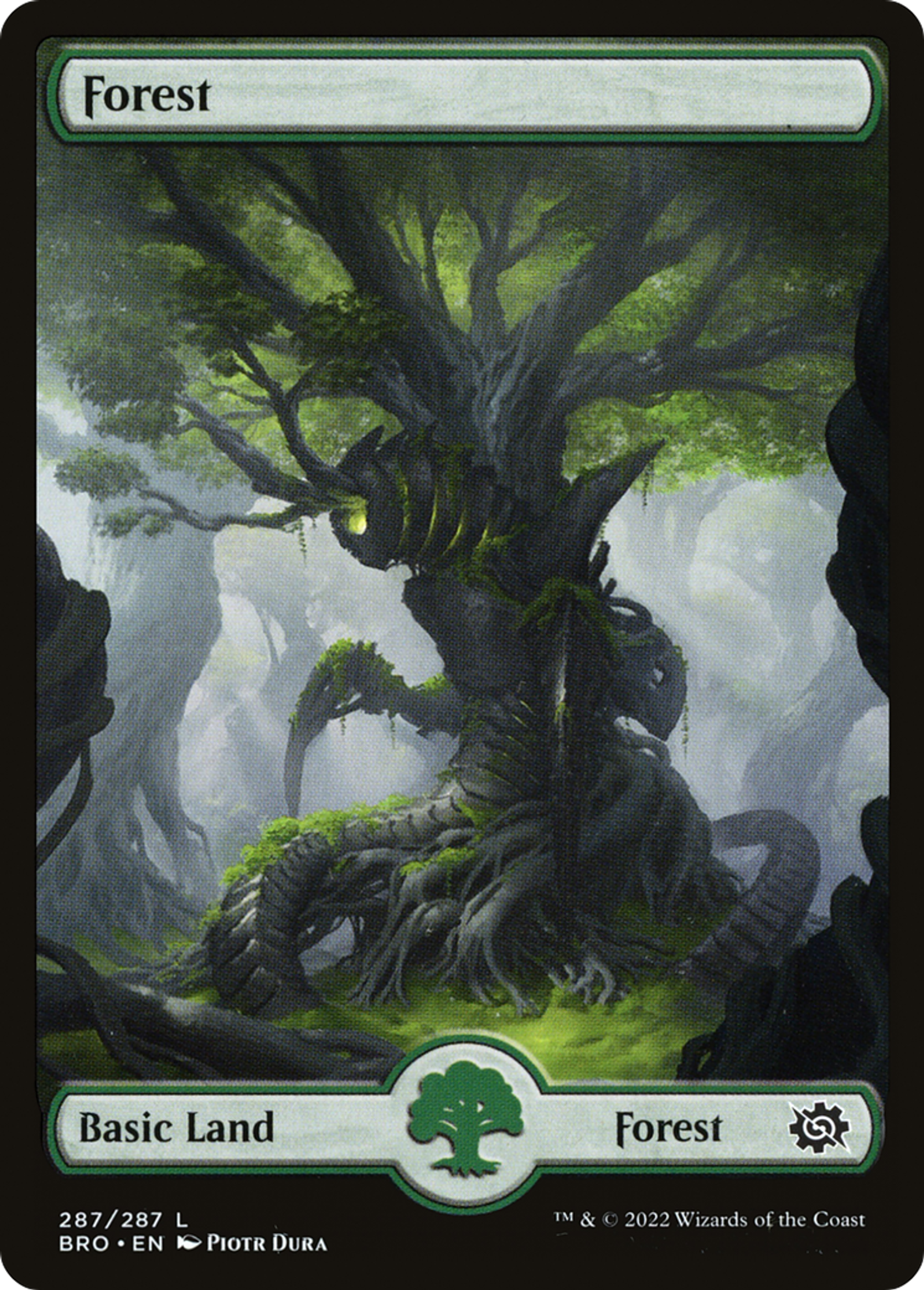 Forest — The Brothers' War — Magic: The Gathering