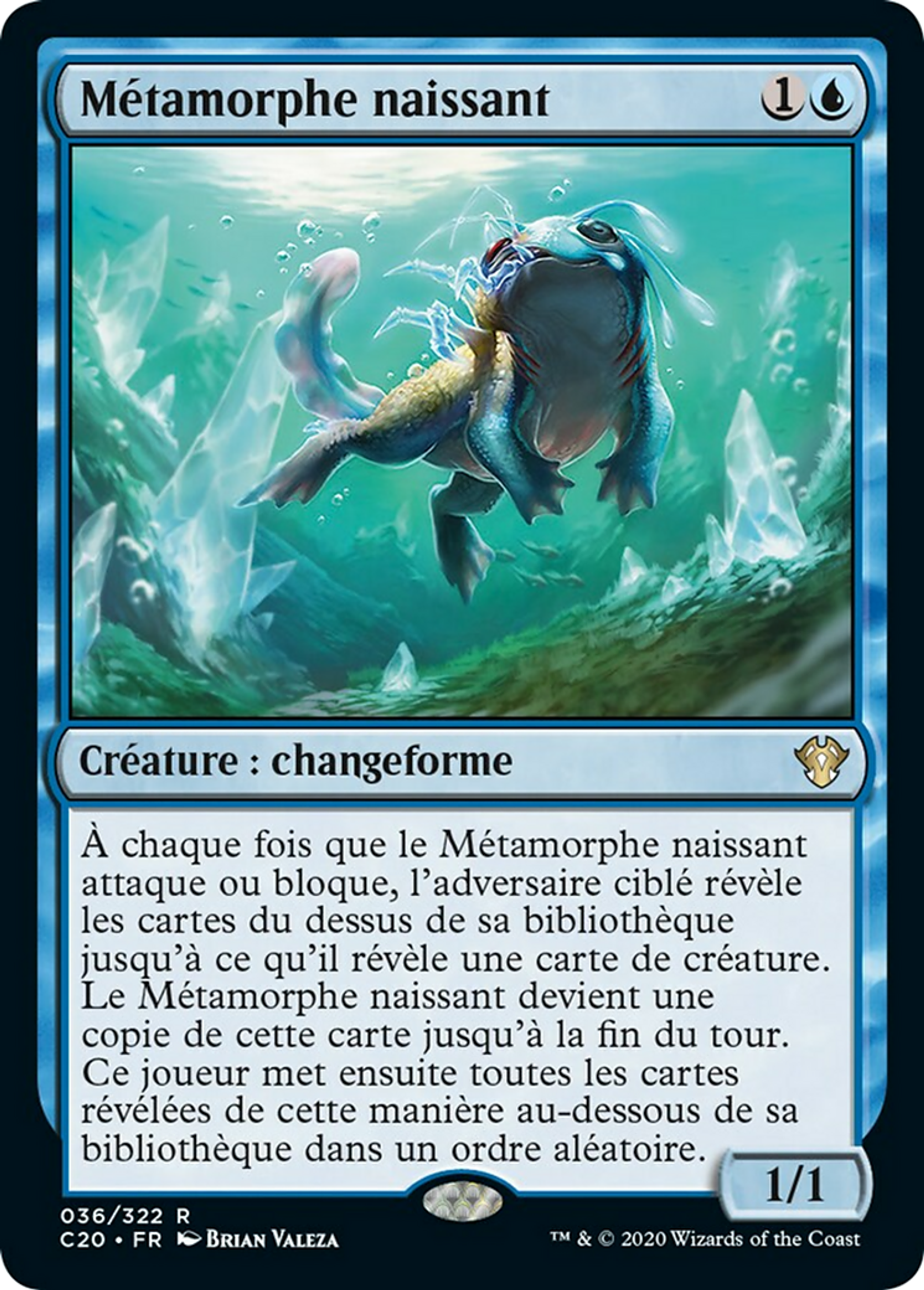 Métamorphe naissant — Commander 2020 — Magic: The Gathering