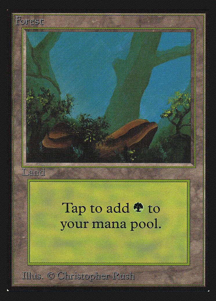 Forest — Collectors' Edition — Magic: The Gathering