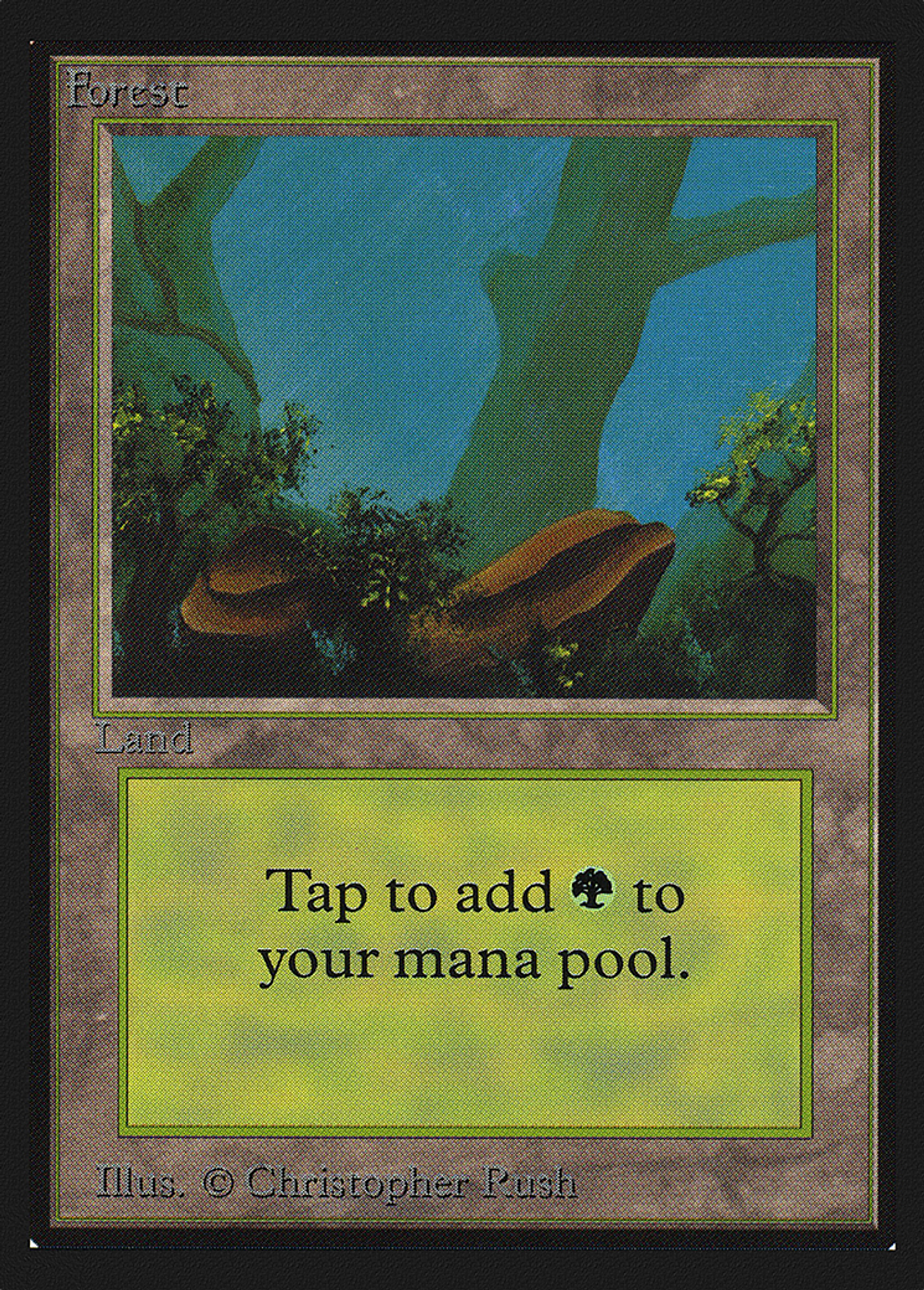 Forest — Collectors' Edition — Magic: The Gathering