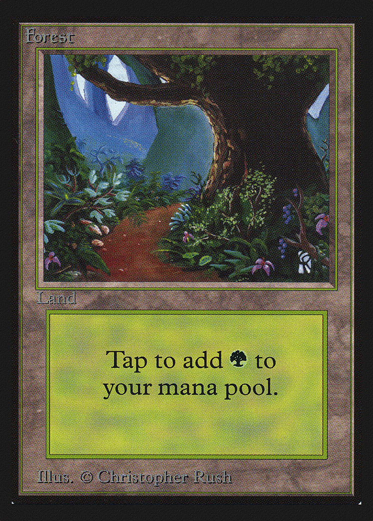 Forest — Collectors' Edition — Magic: The Gathering