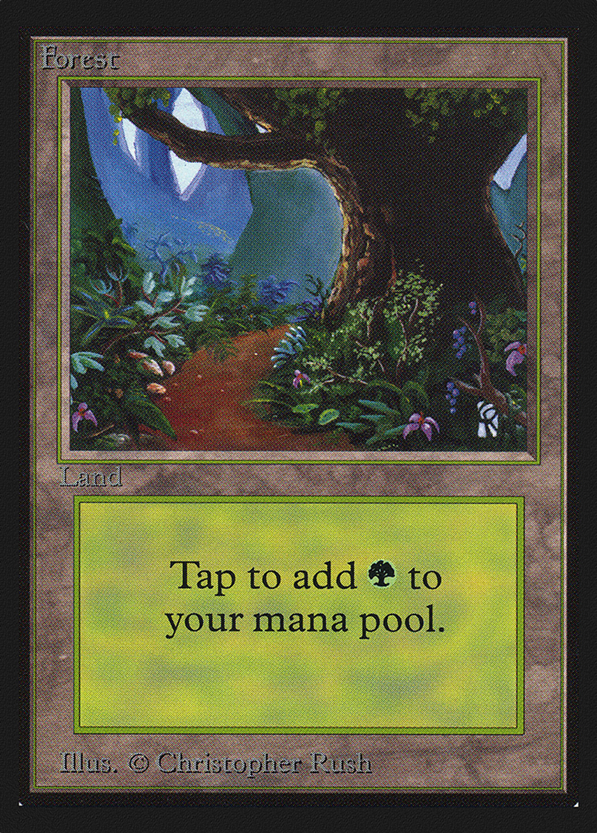 Forest — Collectors' Edition — Magic: The Gathering