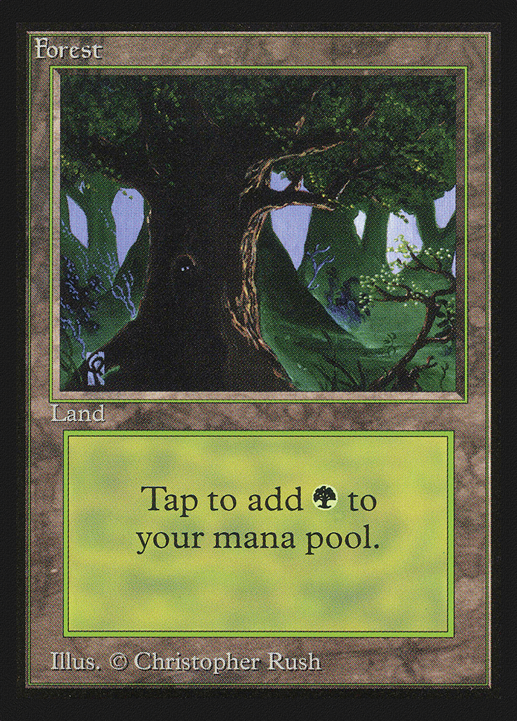 Forest — Collectors' Edition — Magic: The Gathering