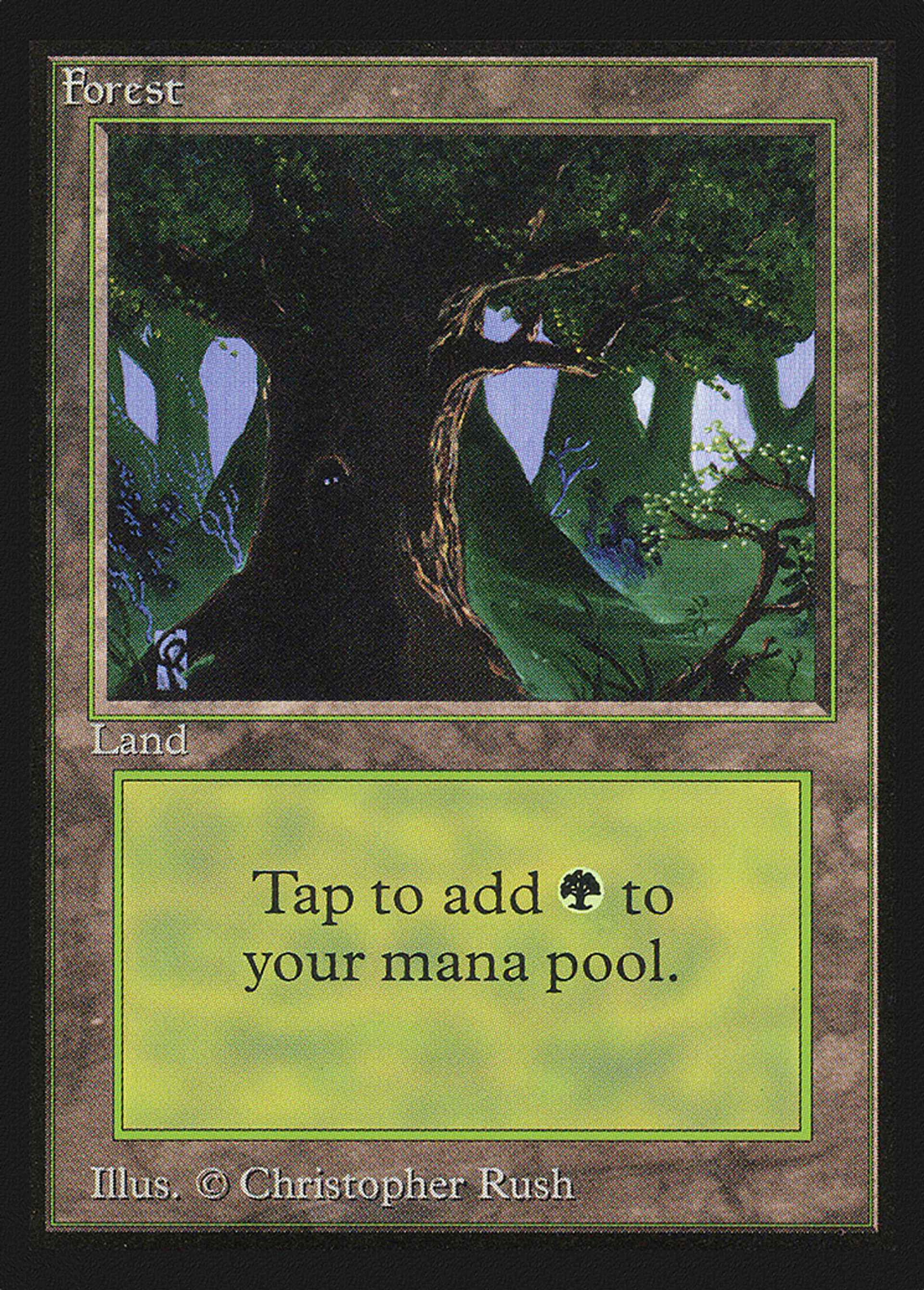 Forest — Collectors' Edition — Magic: The Gathering