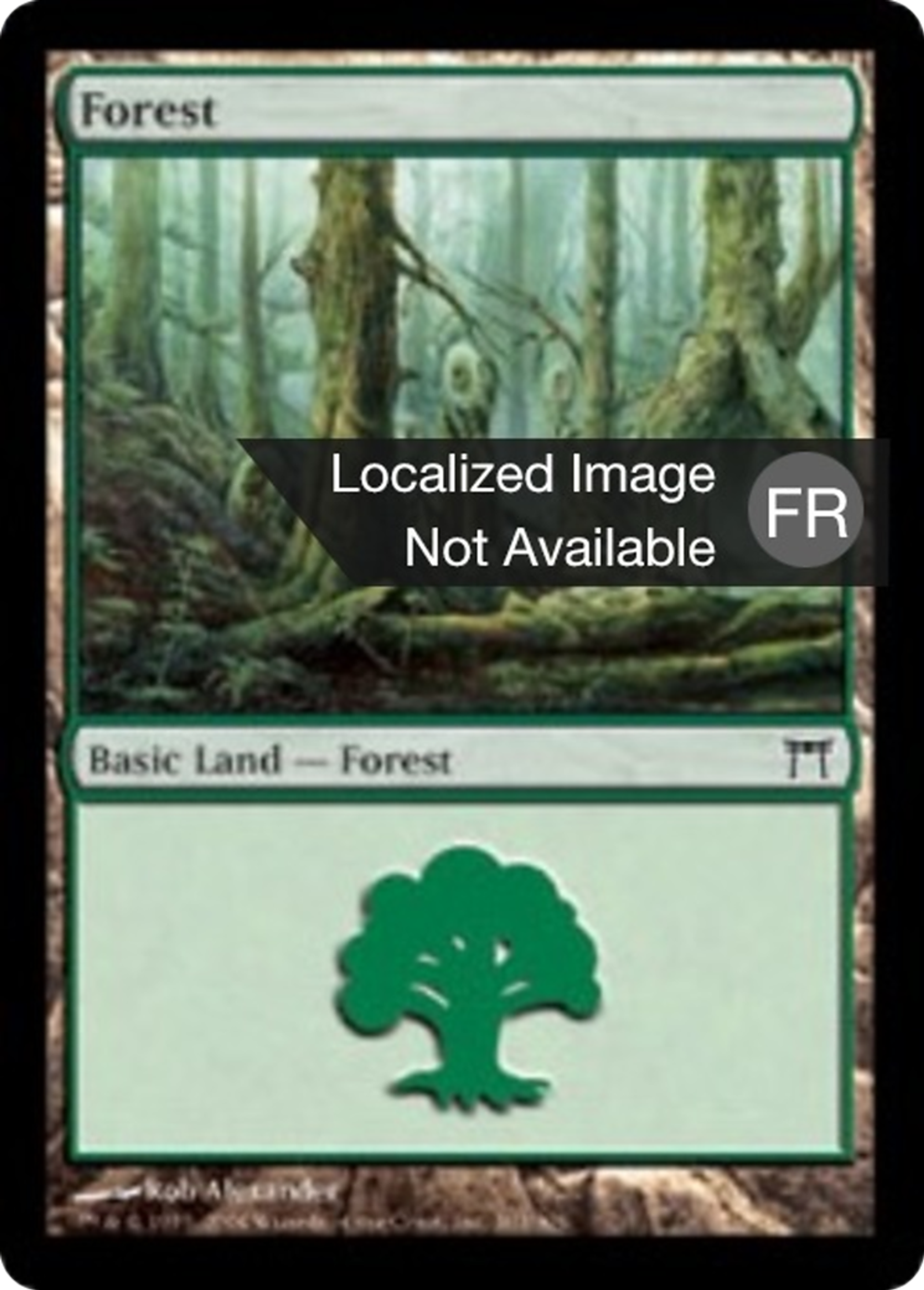 Forêt — Champions of Kamigawa — Magic: The Gathering