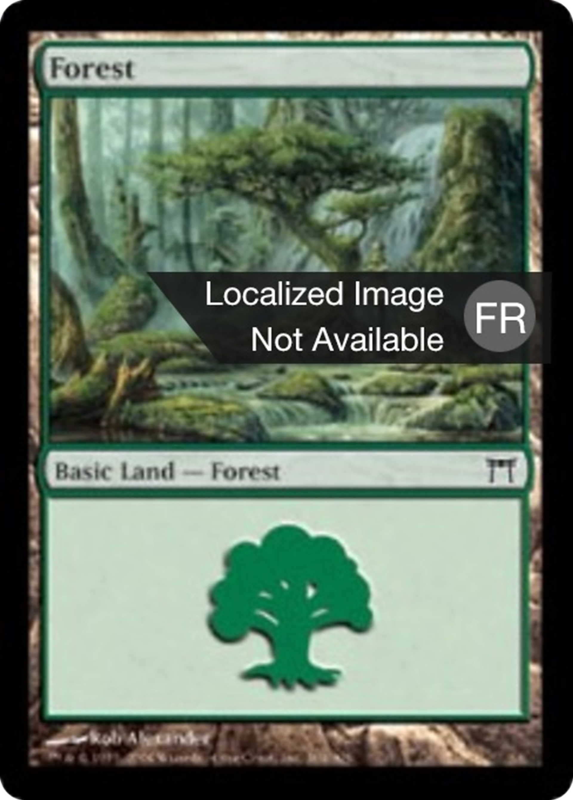 Forêt — Champions of Kamigawa — Magic: The Gathering