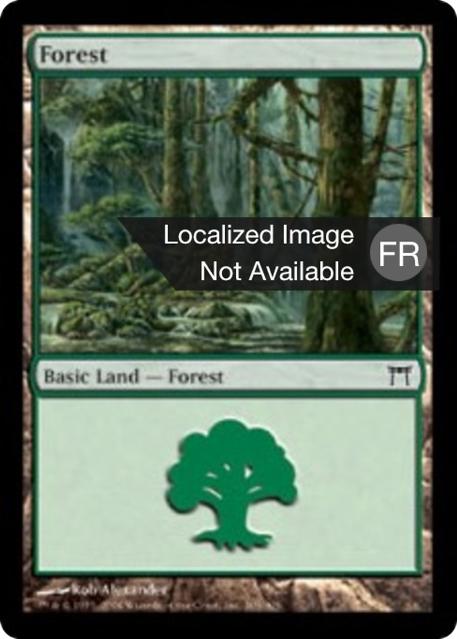 Forêt — Champions of Kamigawa — Magic: The Gathering