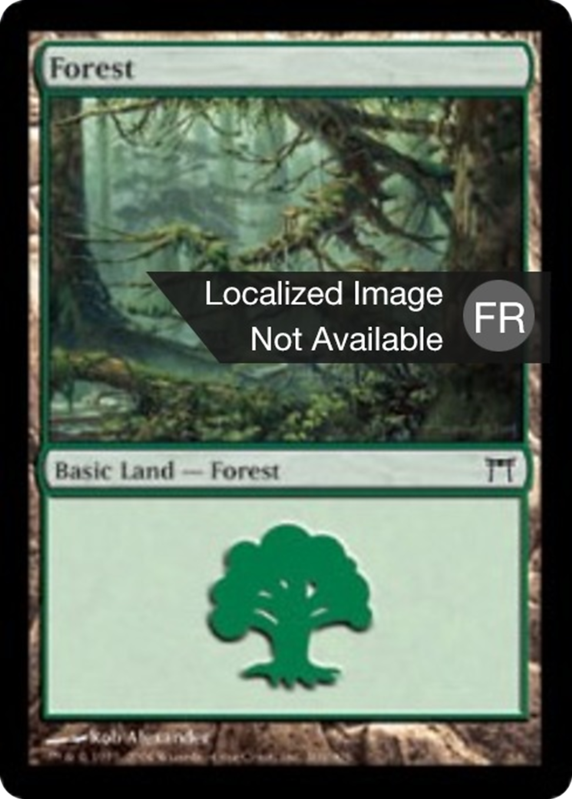 Forêt — Champions of Kamigawa — Magic: The Gathering