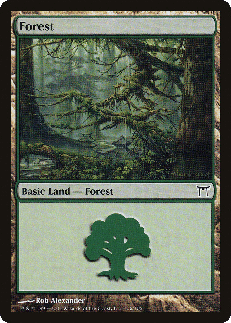 Forest — Champions of Kamigawa — Magic: The Gathering