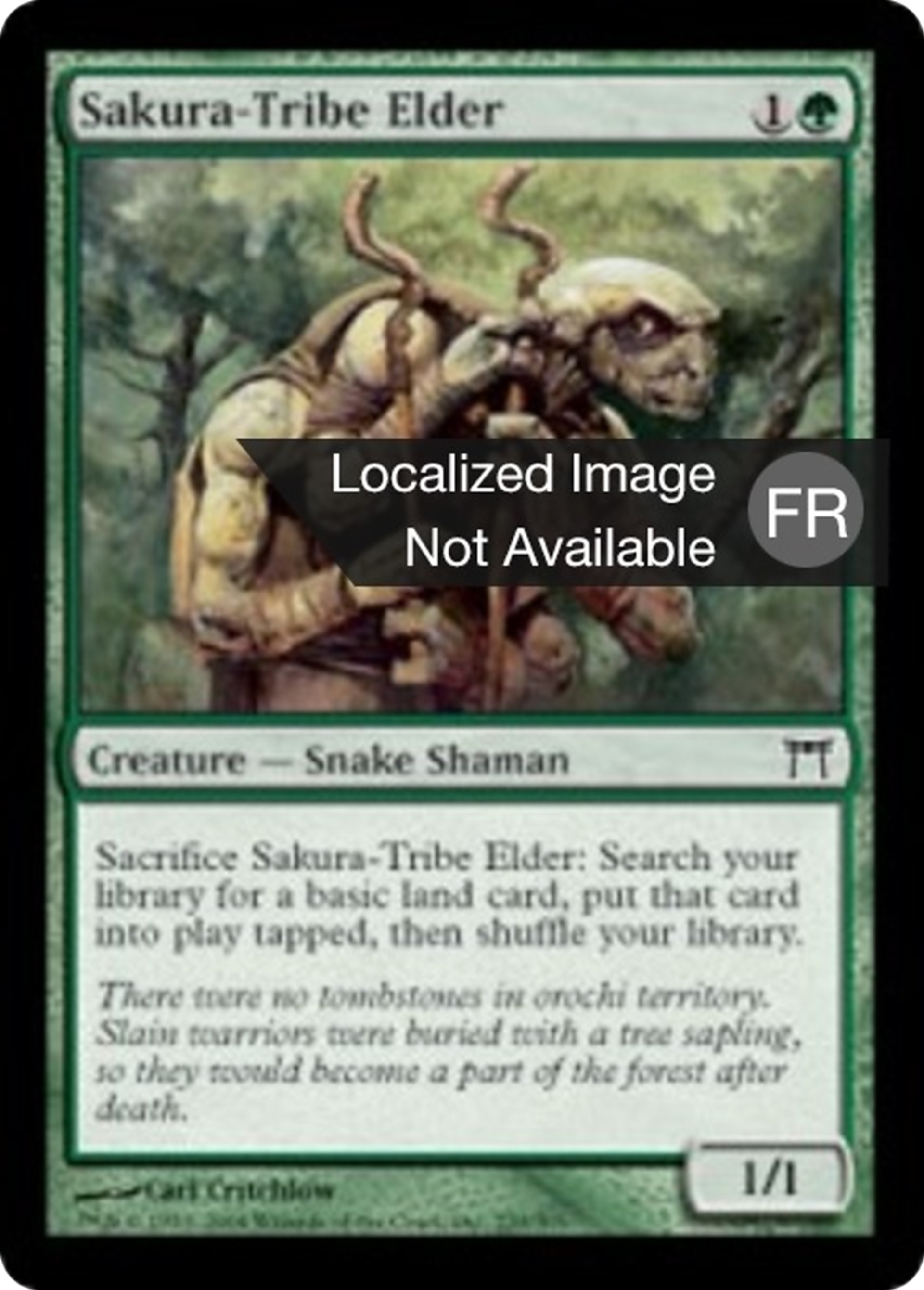 Ancêtre de la tribu Sakura — Champions of Kamigawa — Magic: The Gathering
