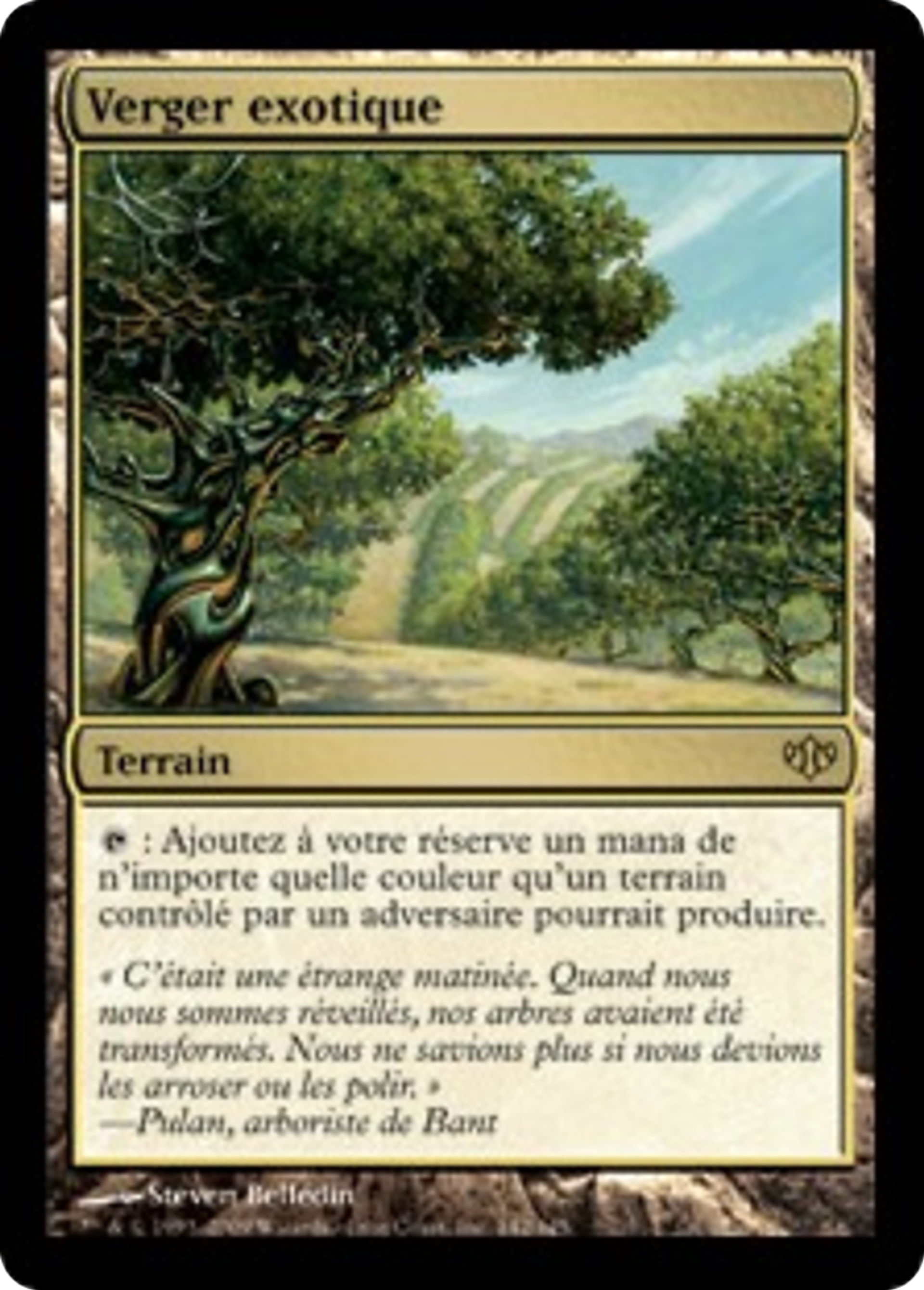 Verger exotique — Conflux — Magic: The Gathering