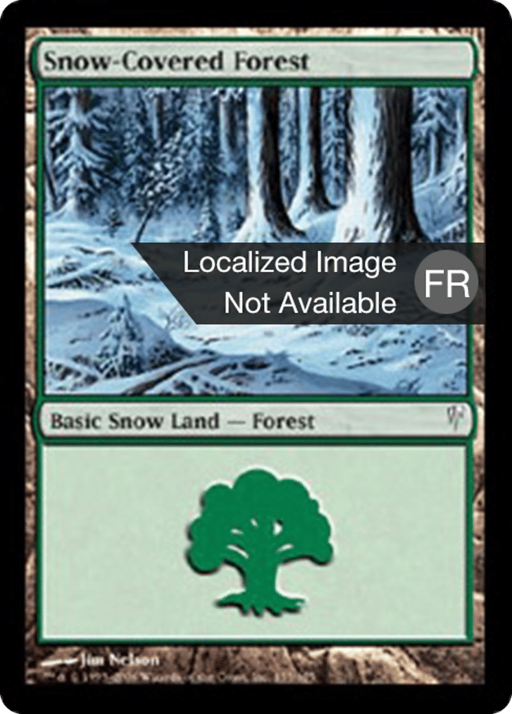 Forêt enneigée — Coldsnap — Magic: The Gathering