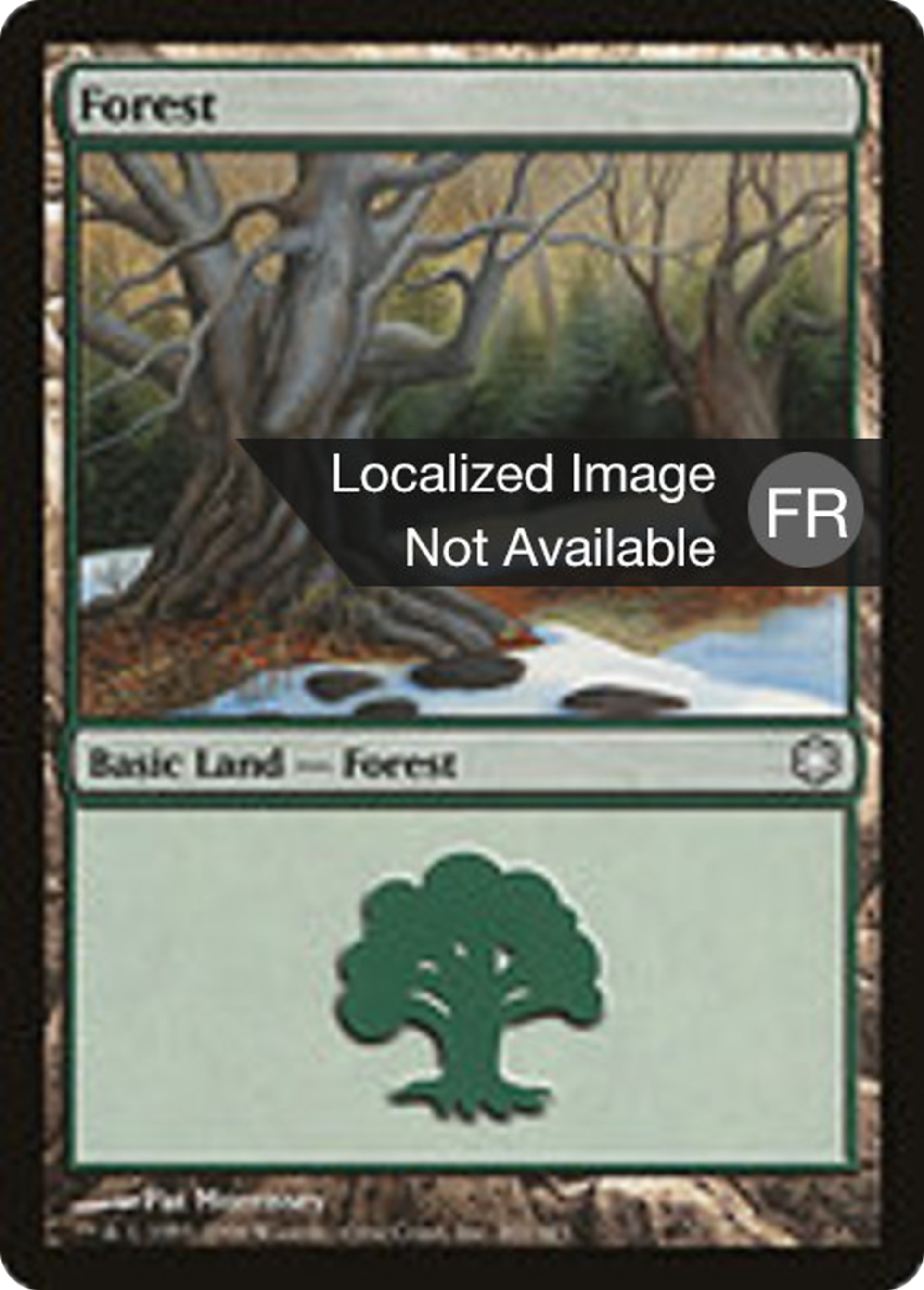 Forêt — Coldsnap Theme Decks — Magic: The Gathering