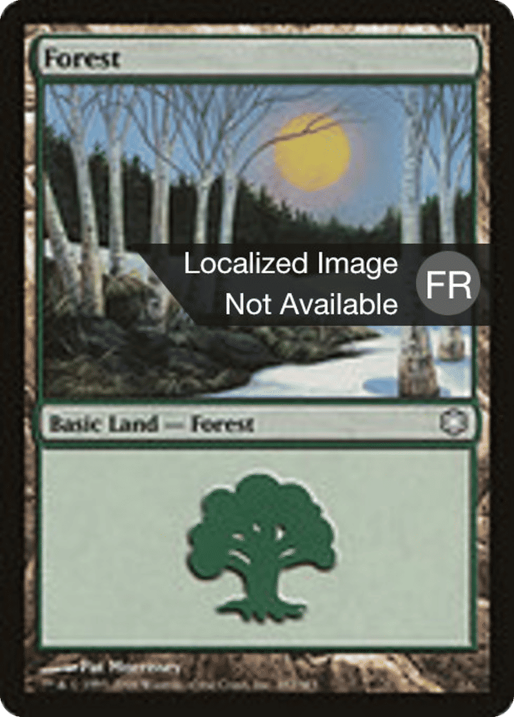 Forêt — Coldsnap Theme Decks — Magic: The Gathering