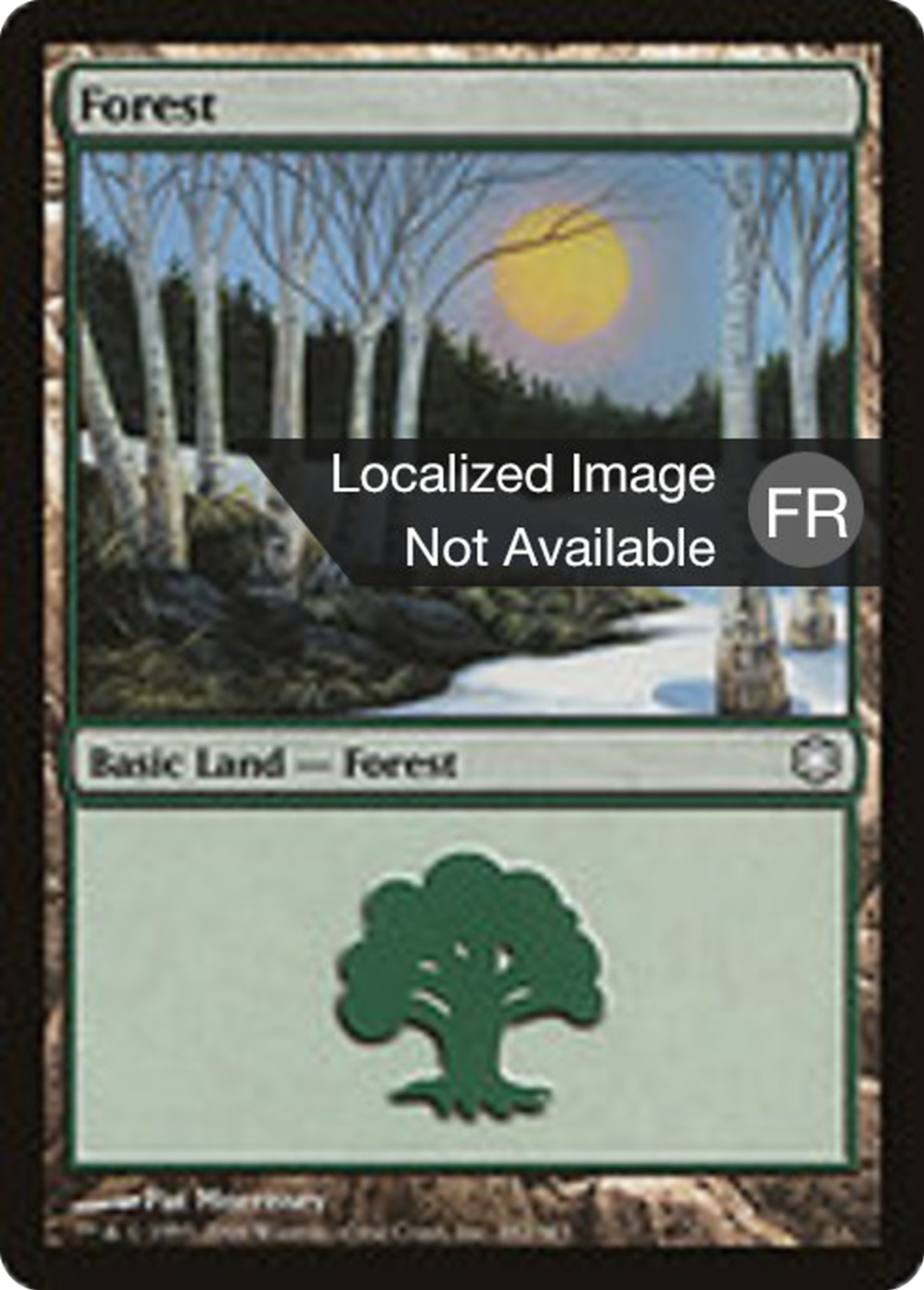Forêt — Coldsnap Theme Decks — Magic: The Gathering