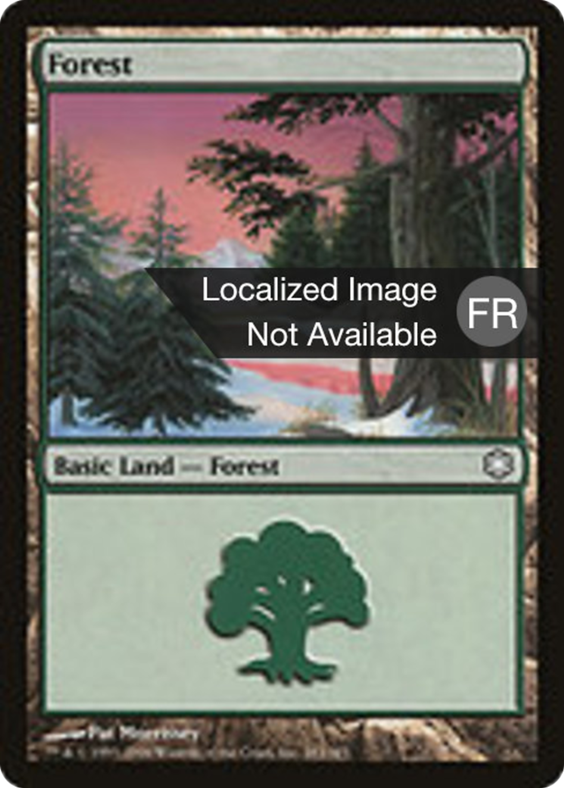 Forêt — Coldsnap Theme Decks — Magic: The Gathering