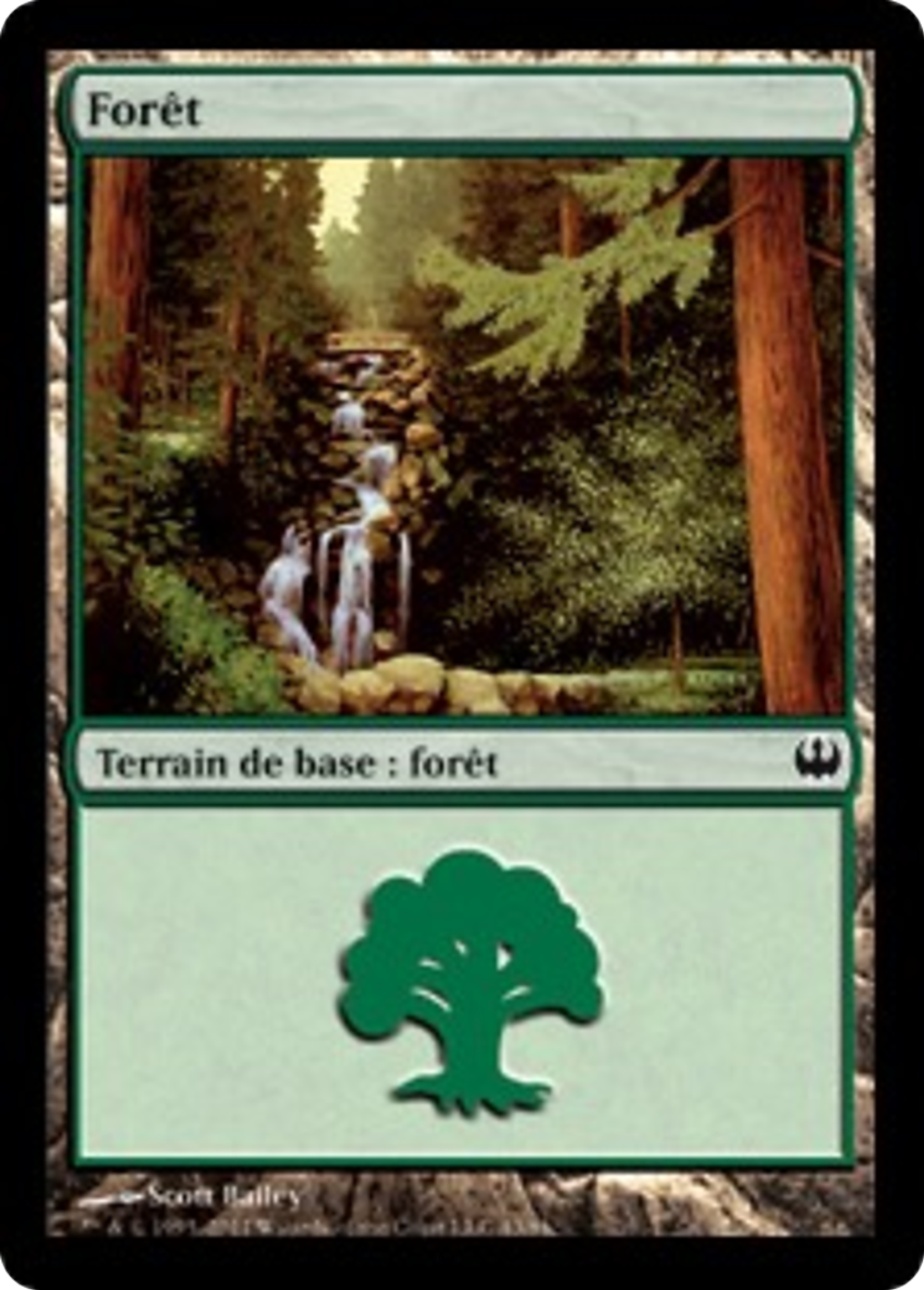 Forêt — Duel Decks: Knights vs. Dragons — Magic: The Gathering